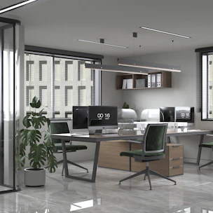 an office with a desk, chairs, and a potted plant