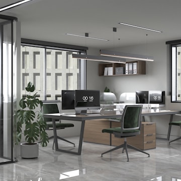 an office with a desk, chairs, and a potted plant