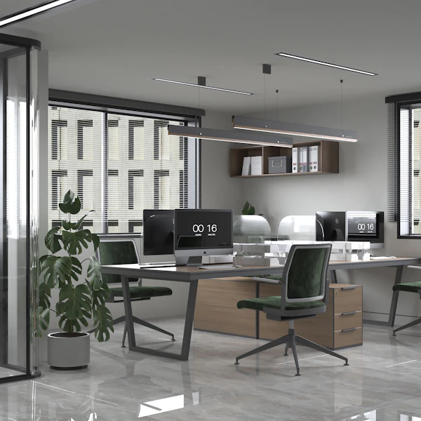 Office desk with chairs and a potted plant