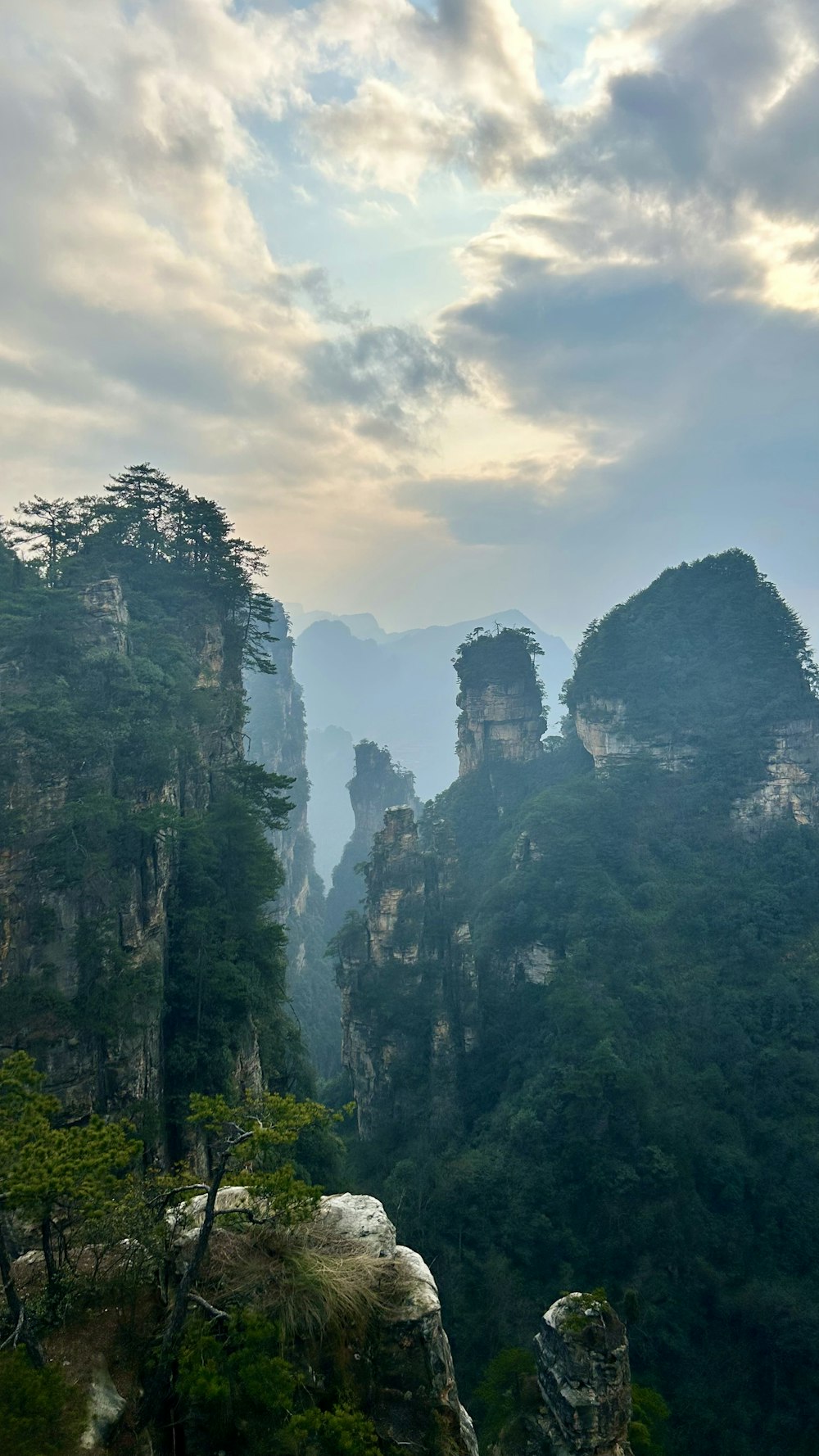 a scenic view of the mountains and trees