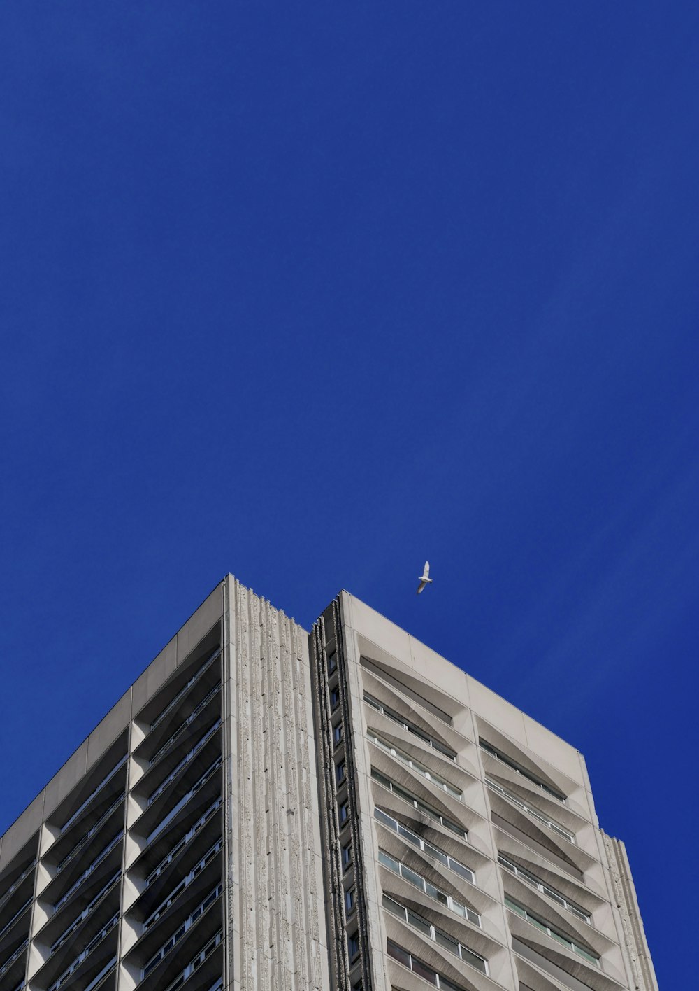 a tall building with a bird flying in front of it