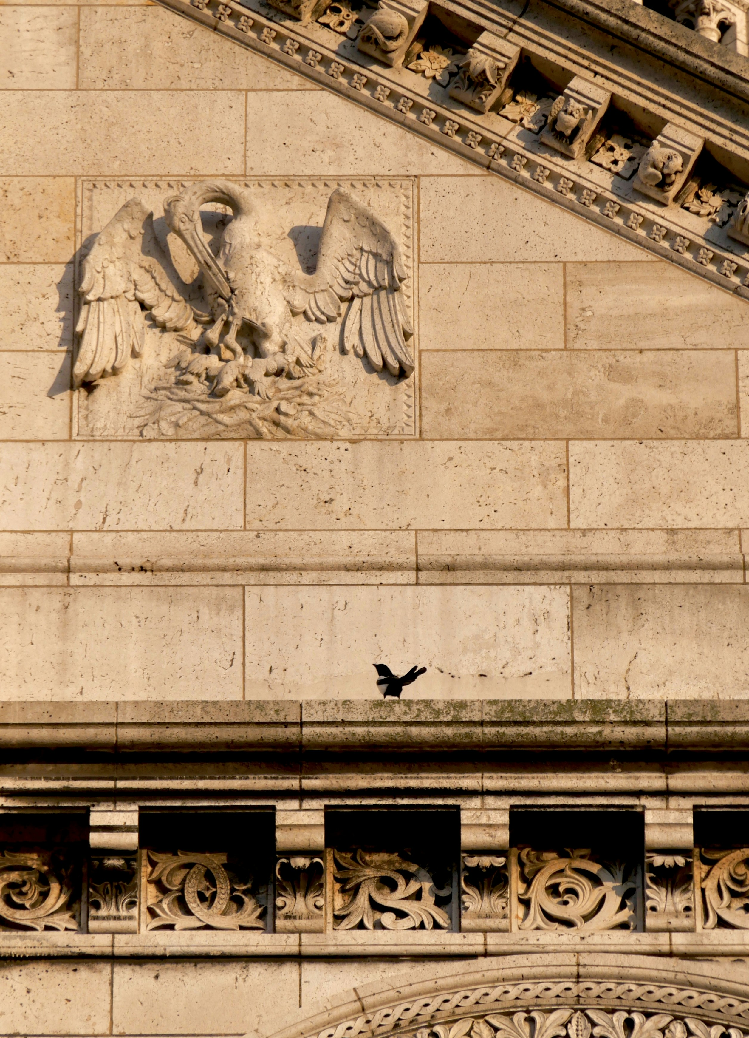 Central Banks Signal Cautious Approach to Interest Rates