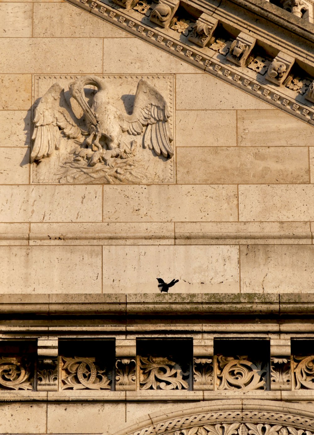 a bird is sitting on the ledge of a building