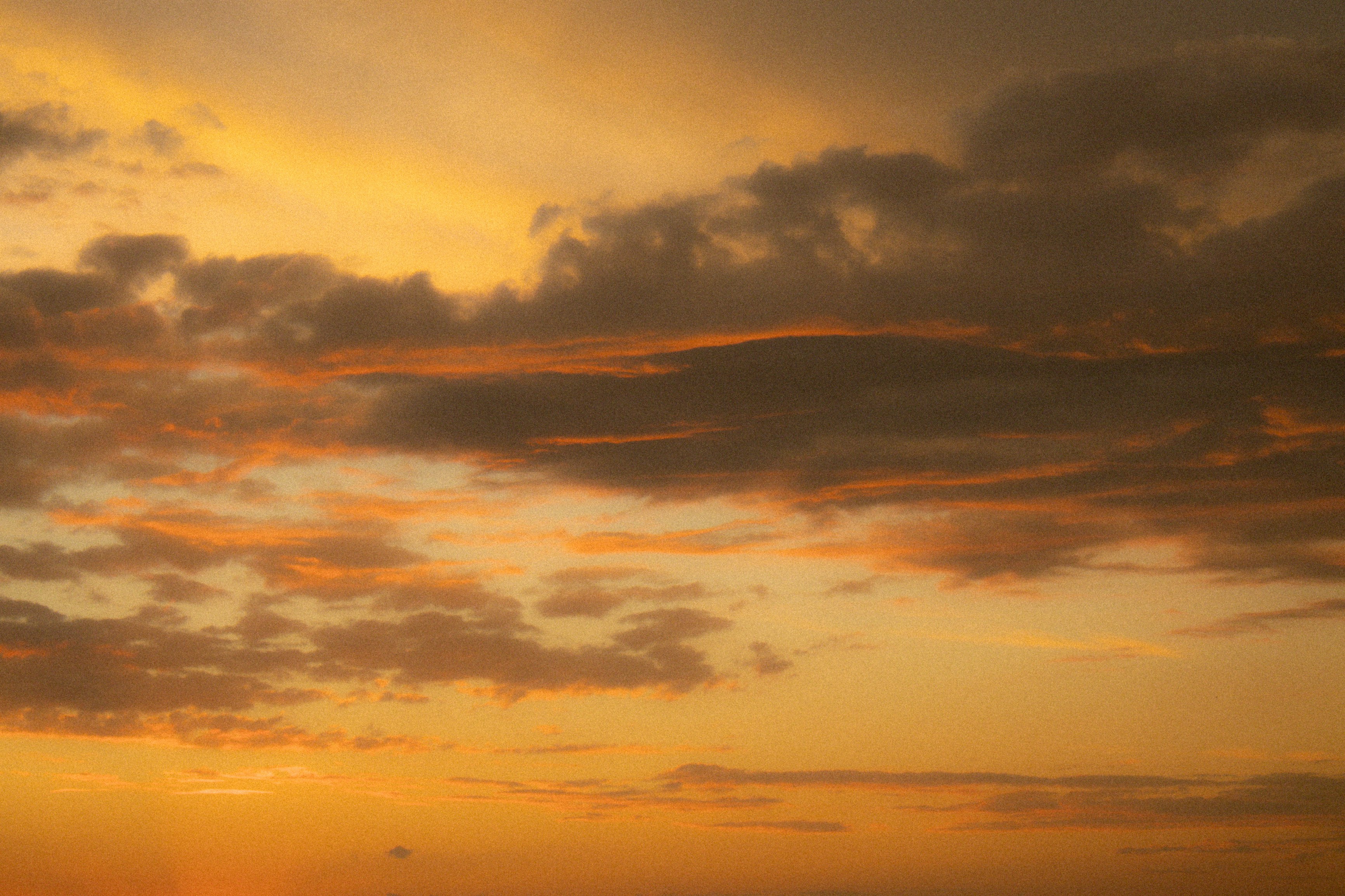 Photo by dje_captures