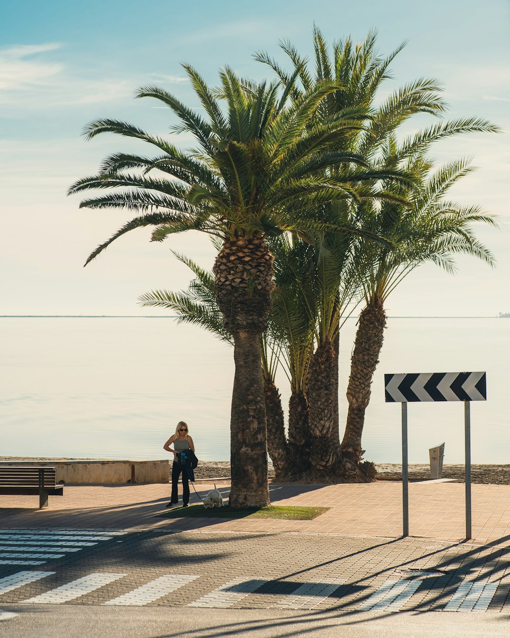 a person standing next to a palm tree