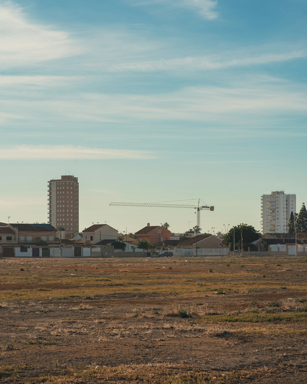 a horse standing in a field with buildings in the background