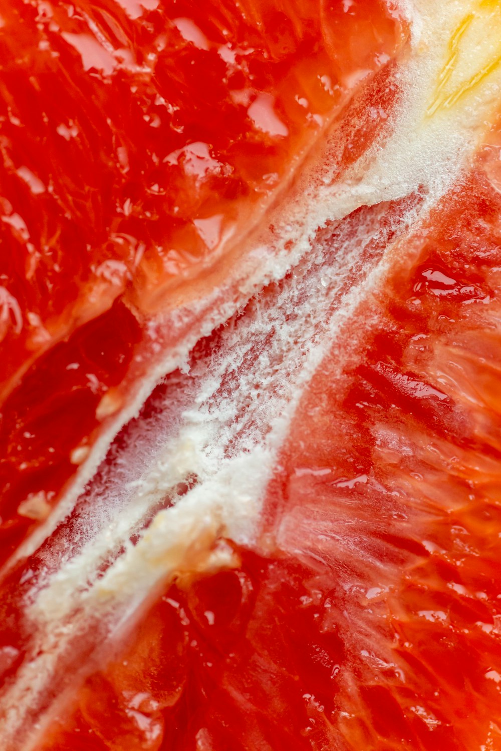 a close up of a grapefruit cut in half