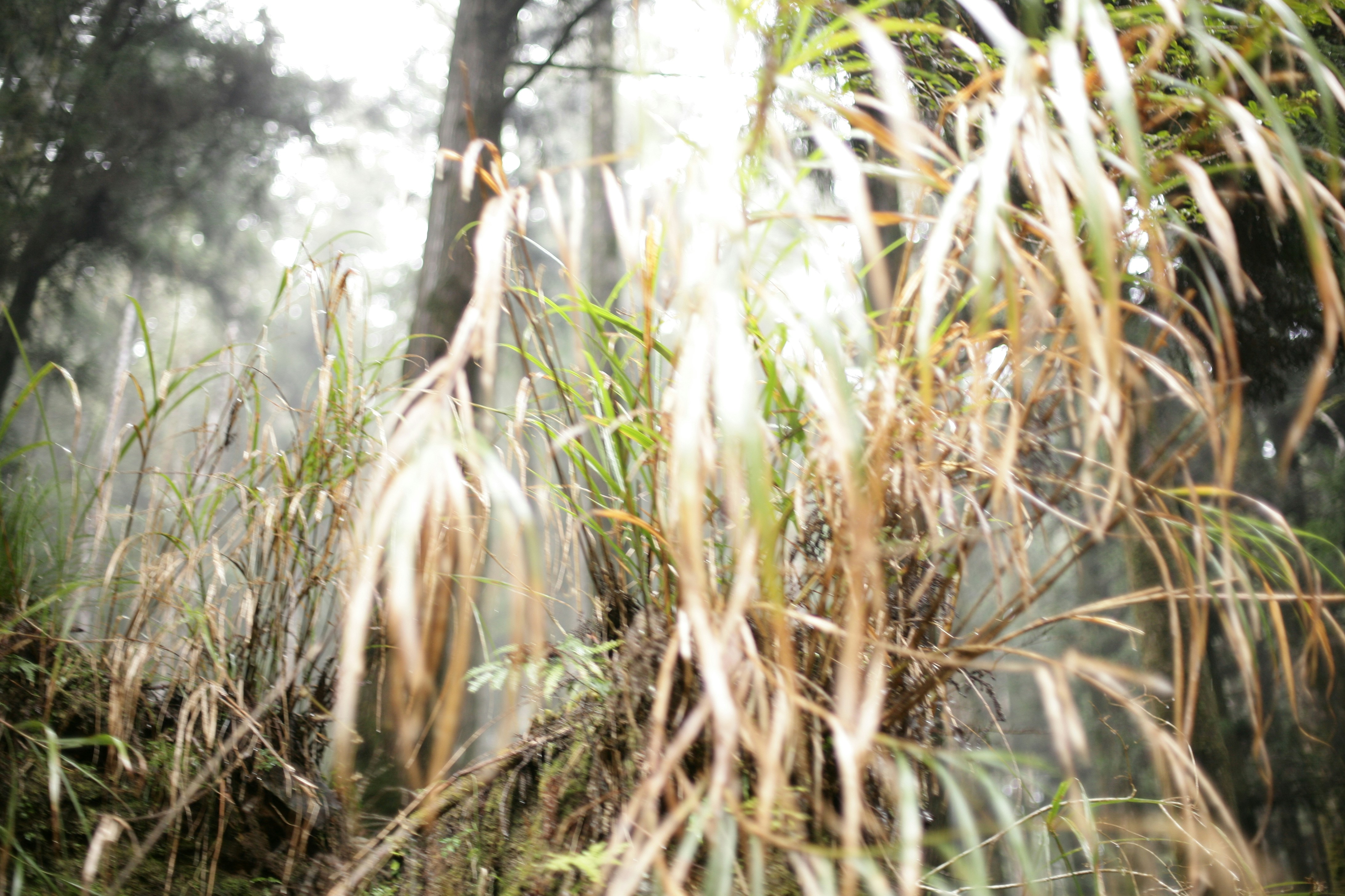 Photo by mclee