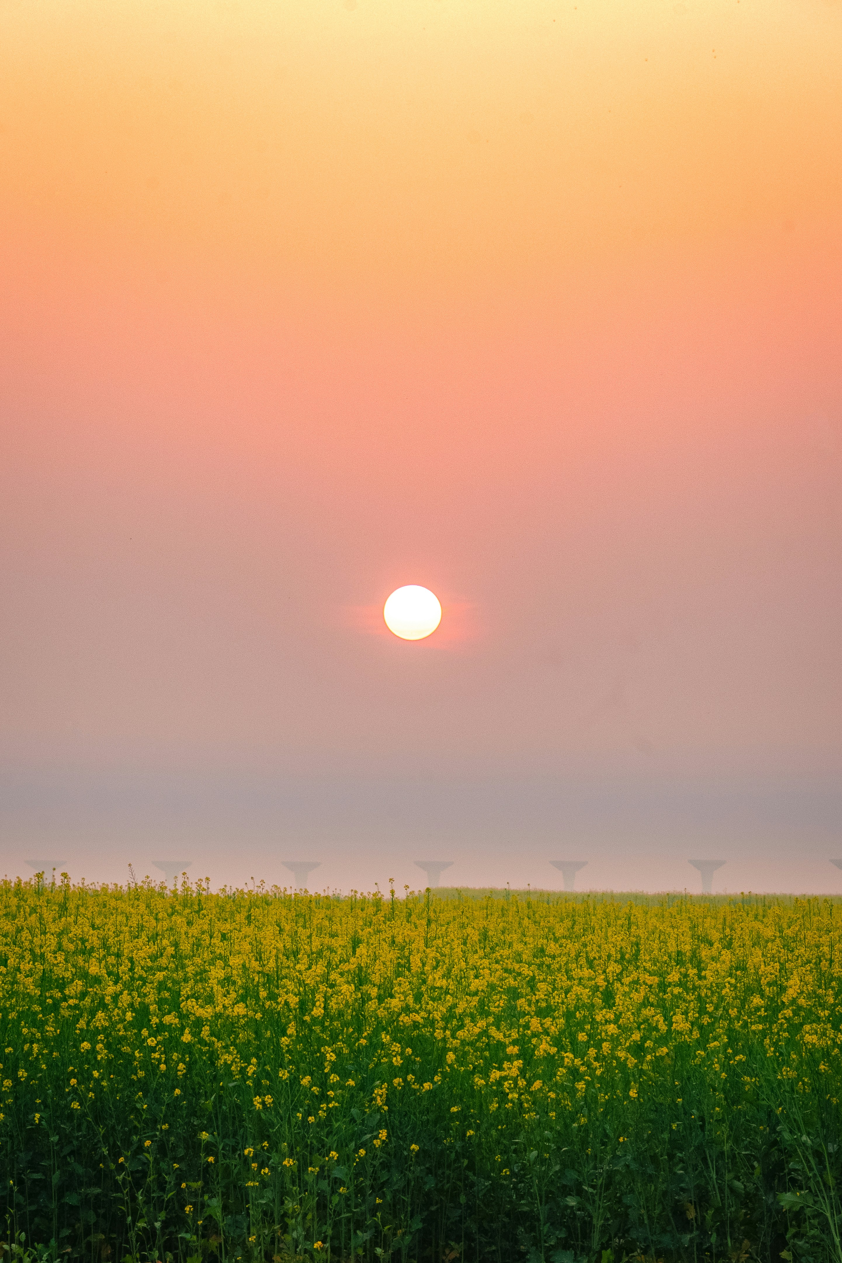 Photo by priyesh_philips