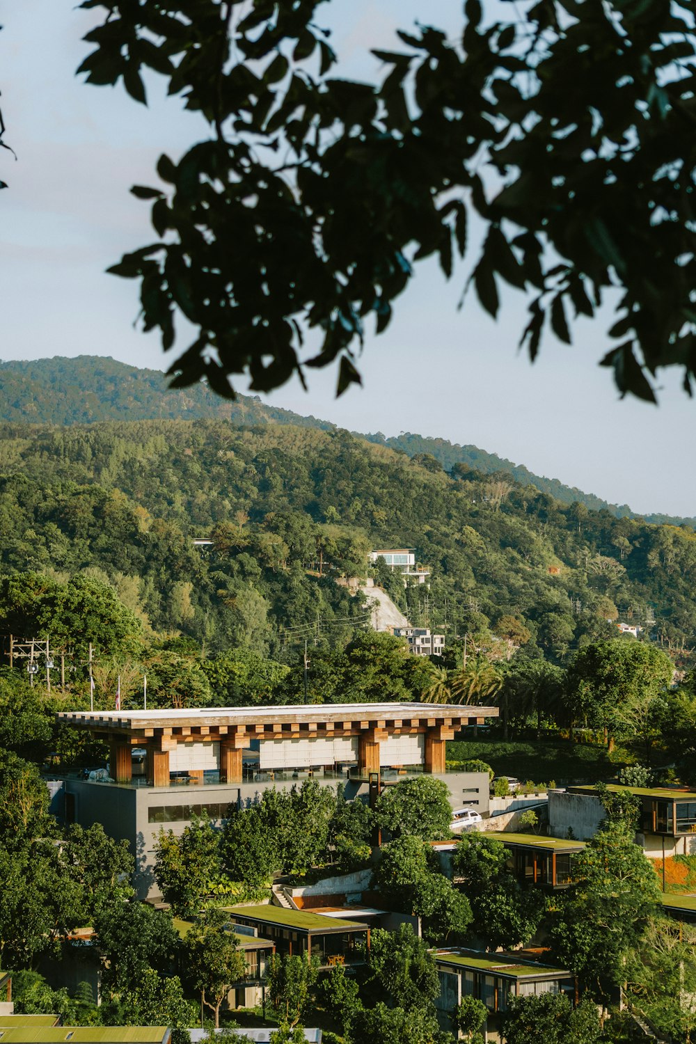 a view of a building in the middle of a forest