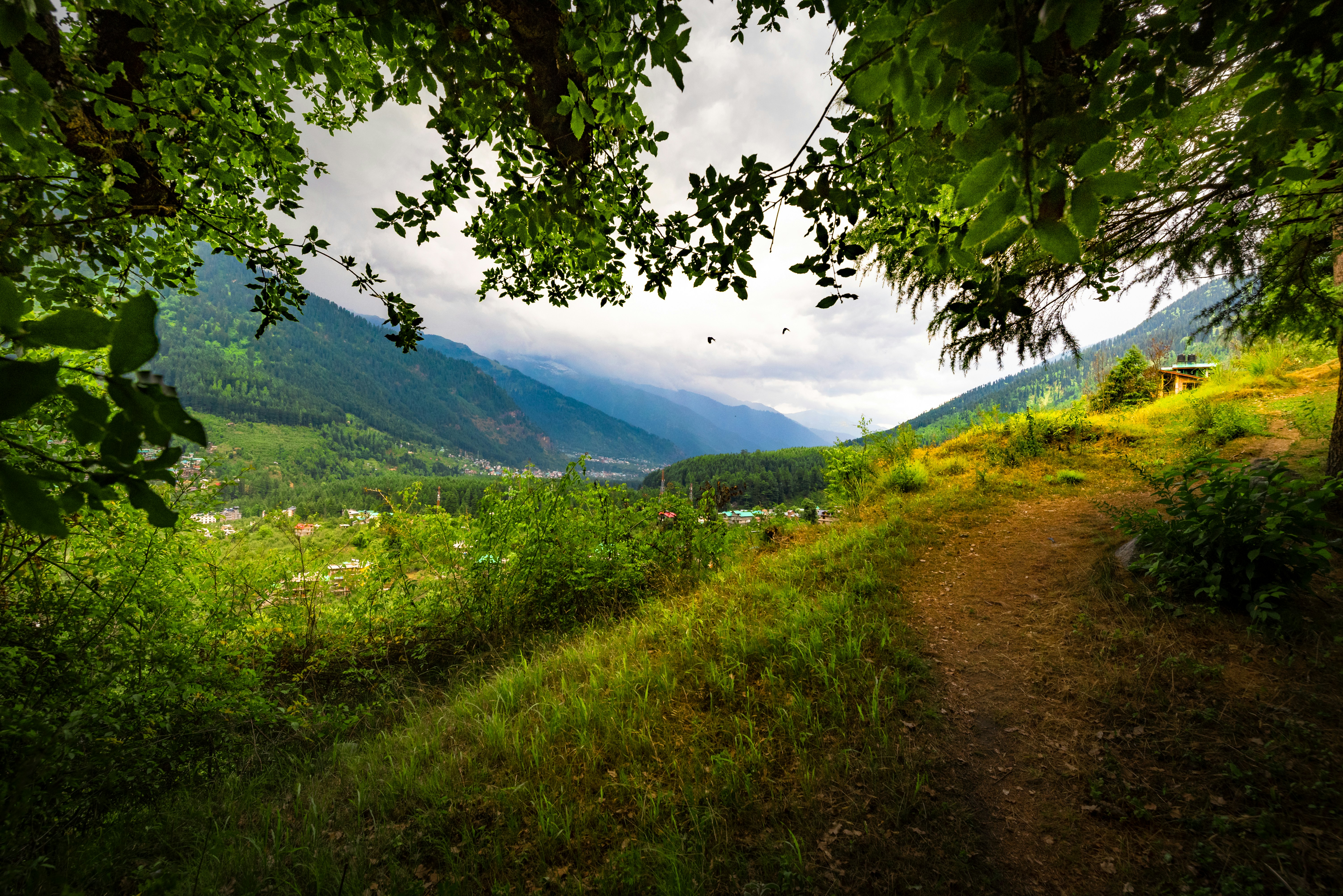 Photo by priyesh_philips