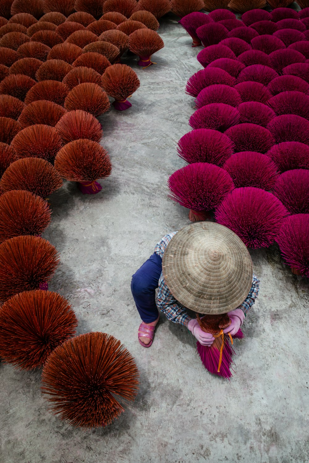 a person with a hat standing in a field of flowers