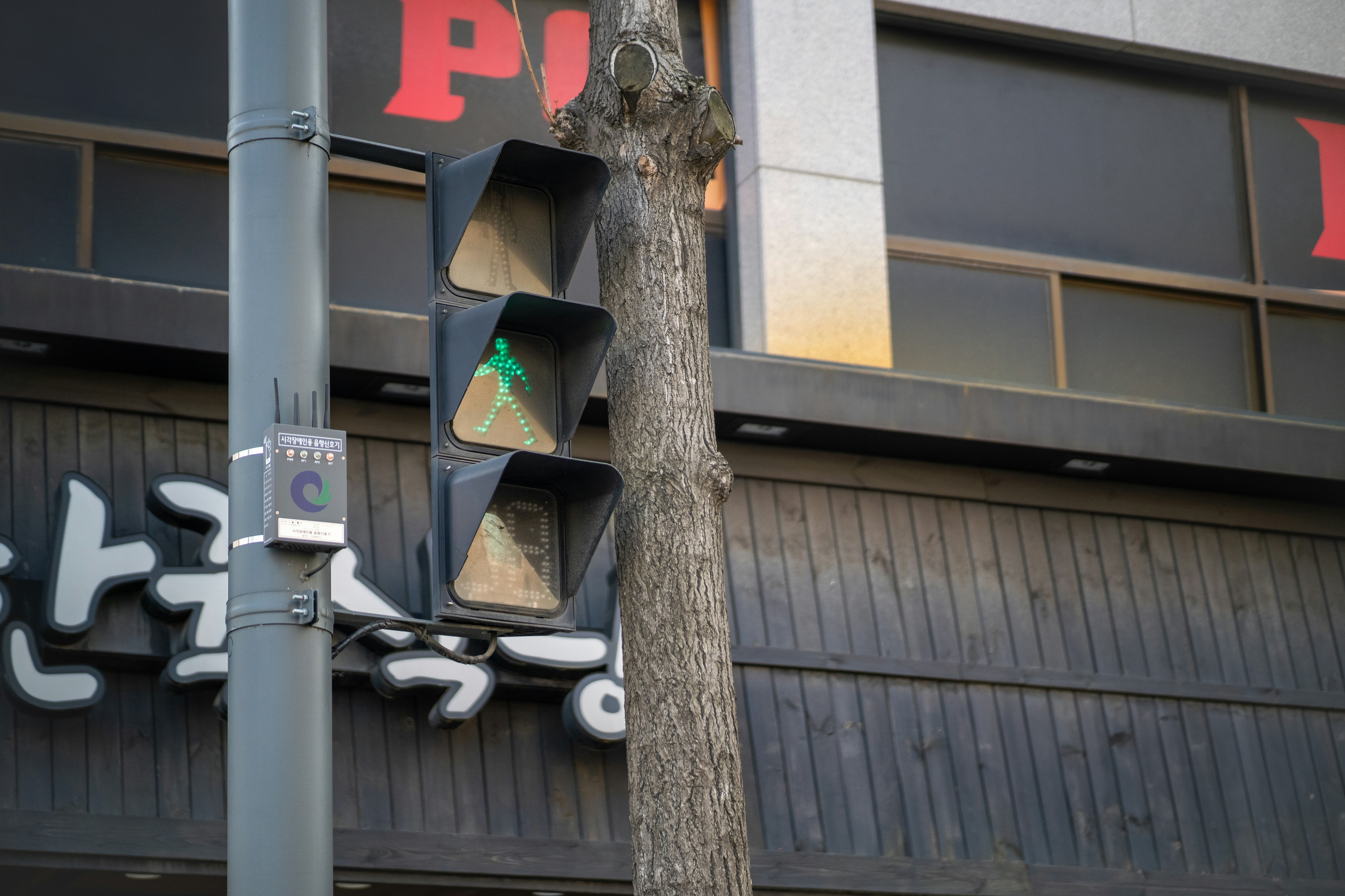 a traffic light with a christmas tree on it