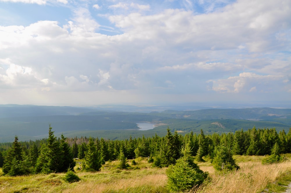 a scenic view of a forest with a lake in the distance