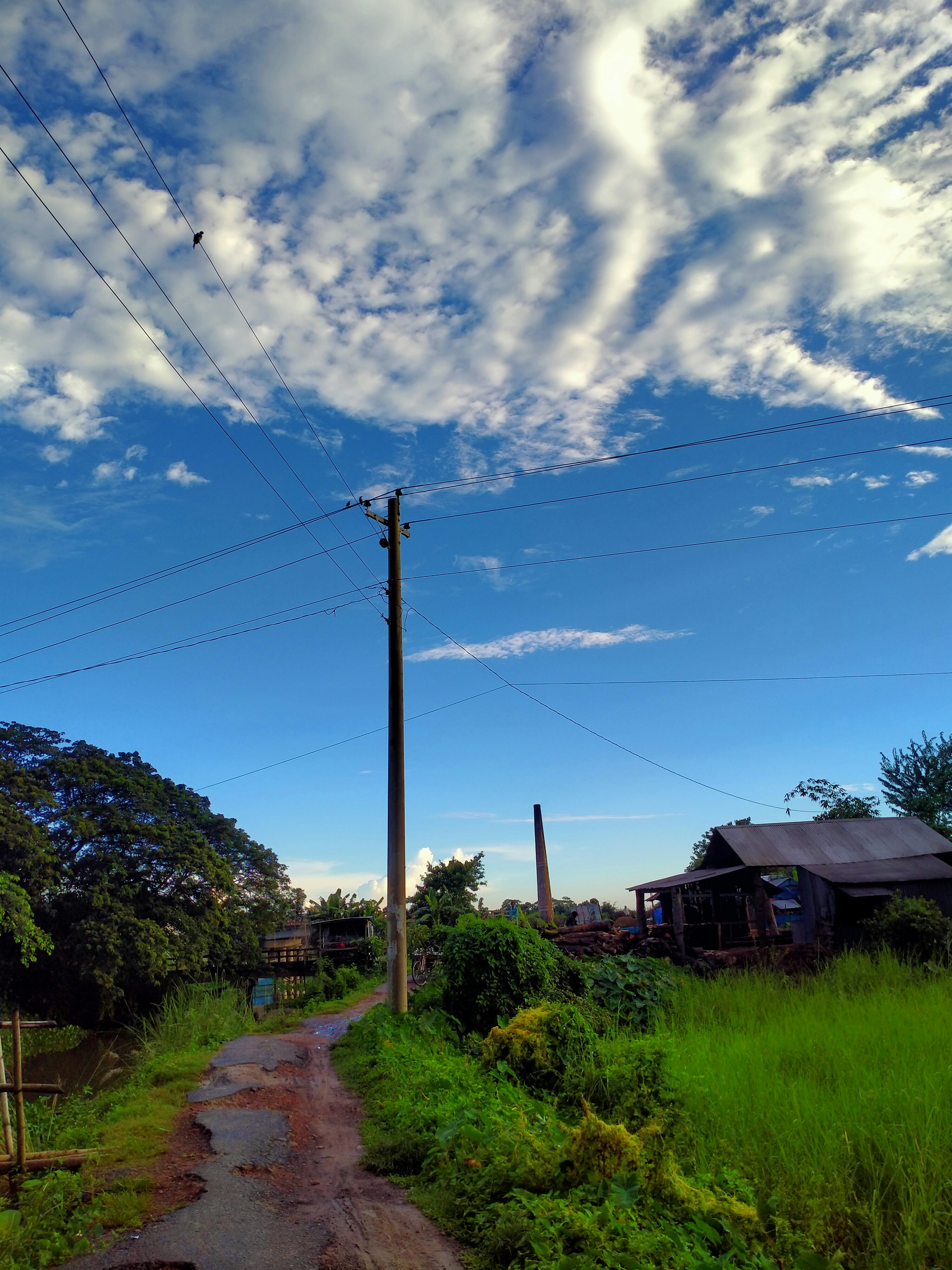 jalan tanah dengan tiang telepon di latar belakang