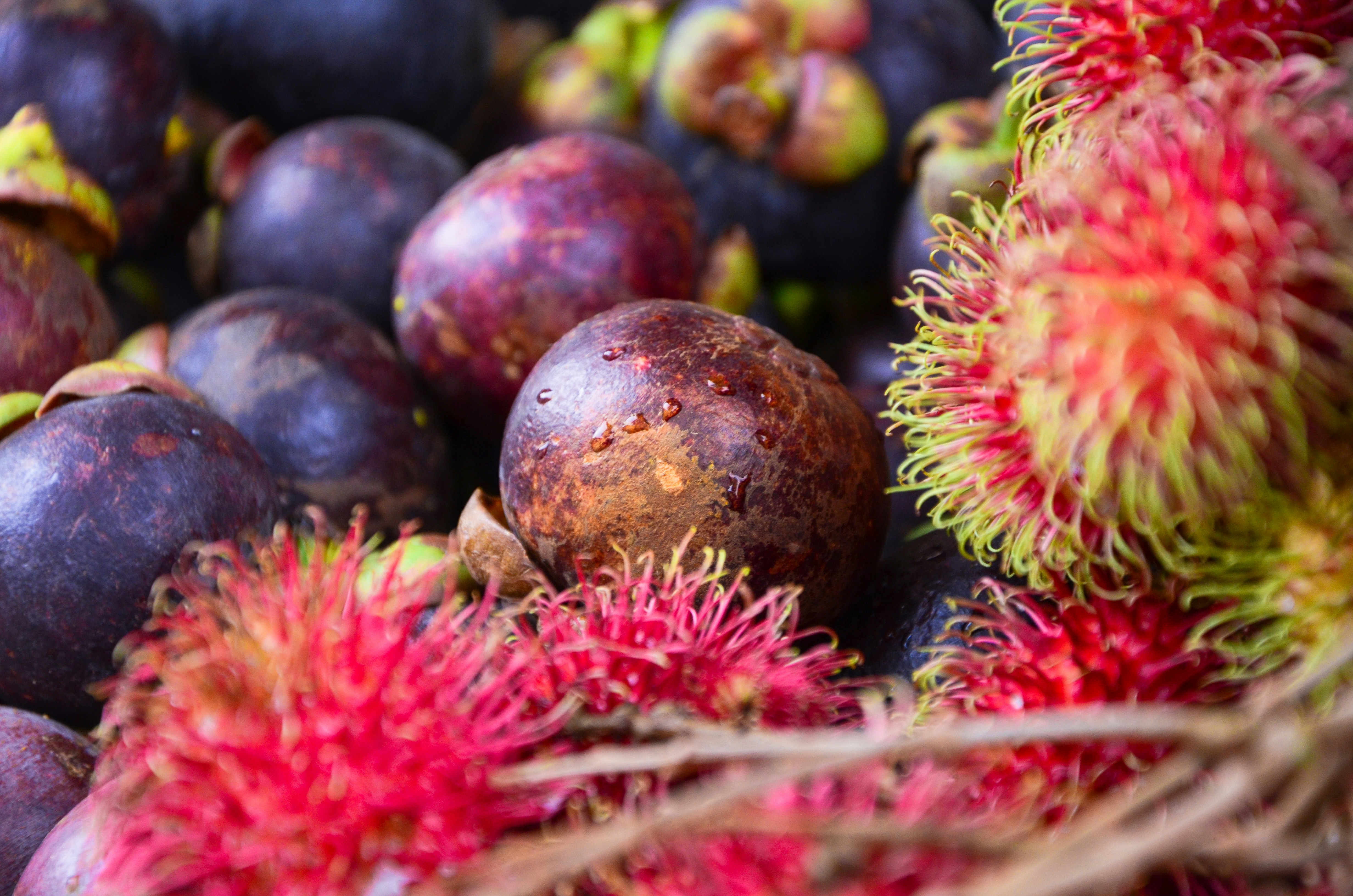 un grappolo di frutta che è seduto a terra