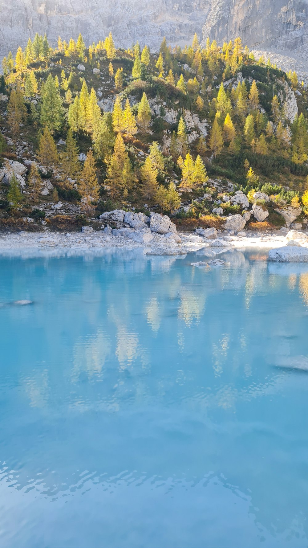 Un cuerpo de agua rodeado de montañas y árboles