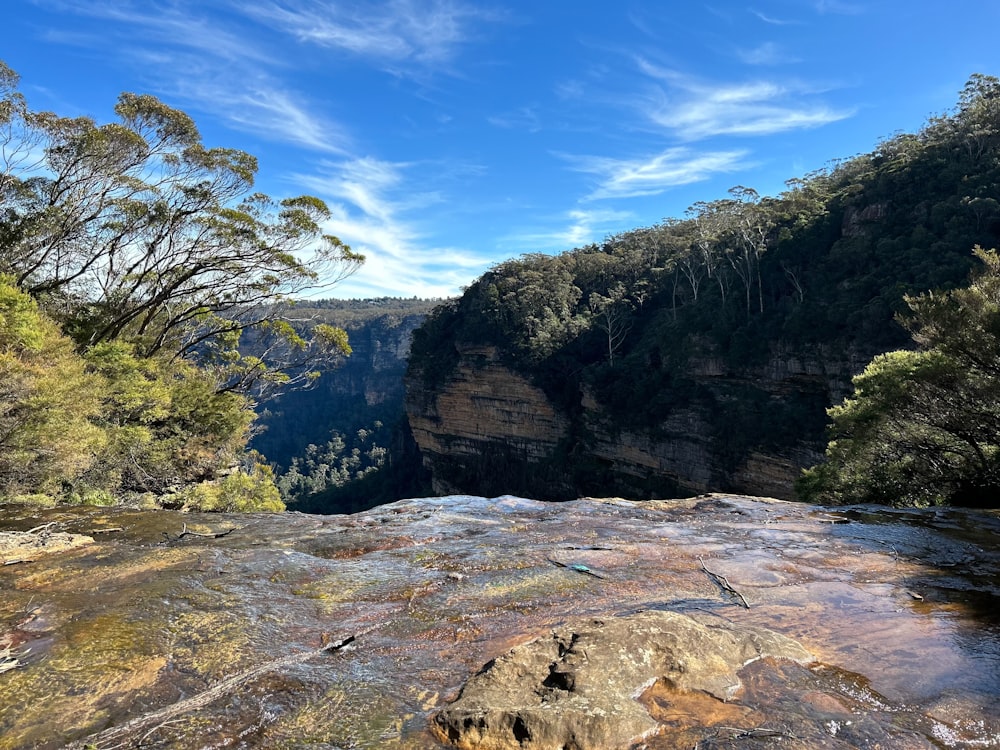 a scenic view of a valley with a mountain in the background