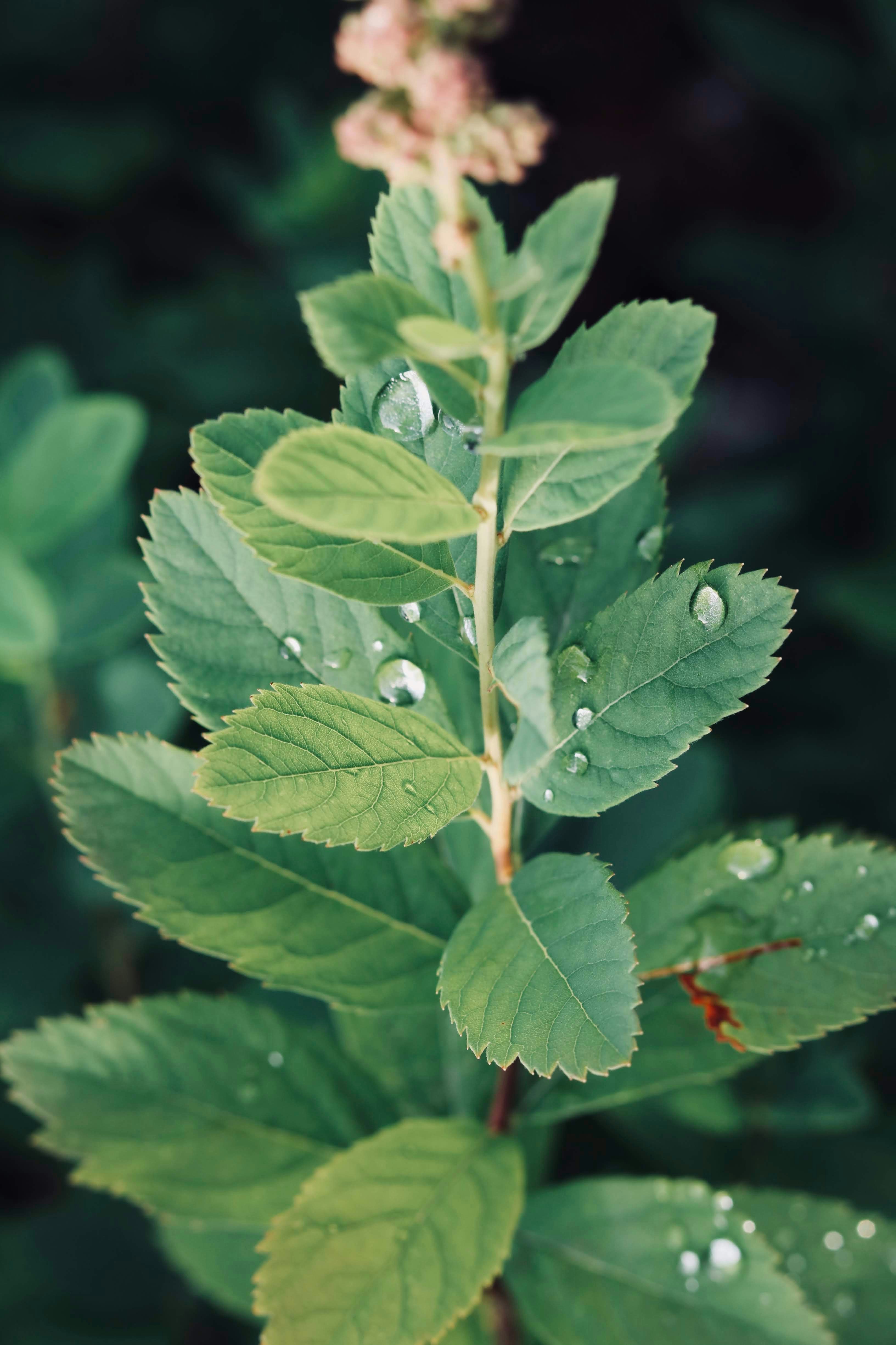 Photo by vlad_hordiienko