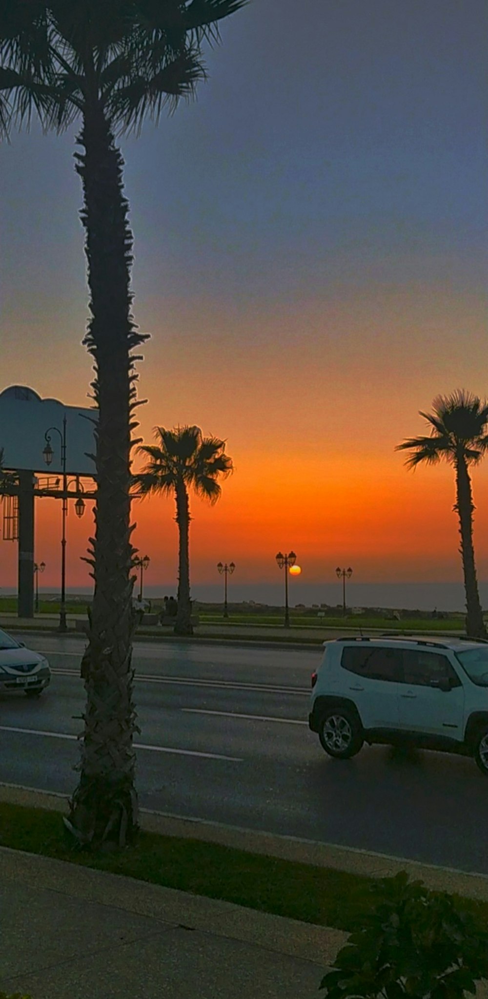 a street with palm trees and a clock tower in the background