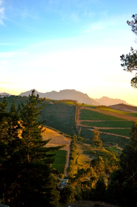 Cape winelands and mountains at dusk