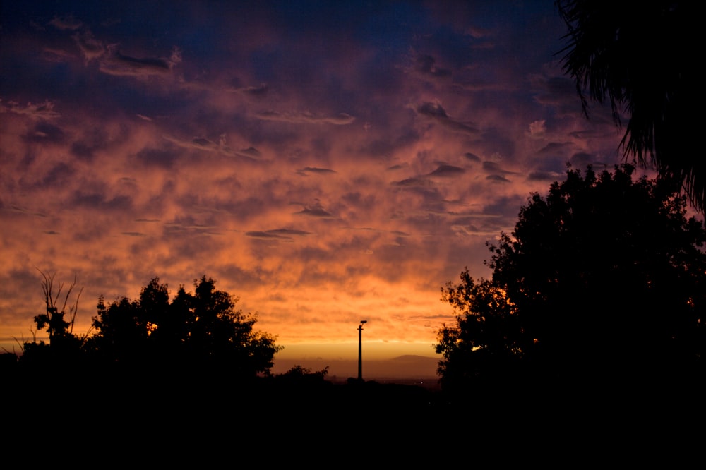 a sunset with clouds and trees in the foreground