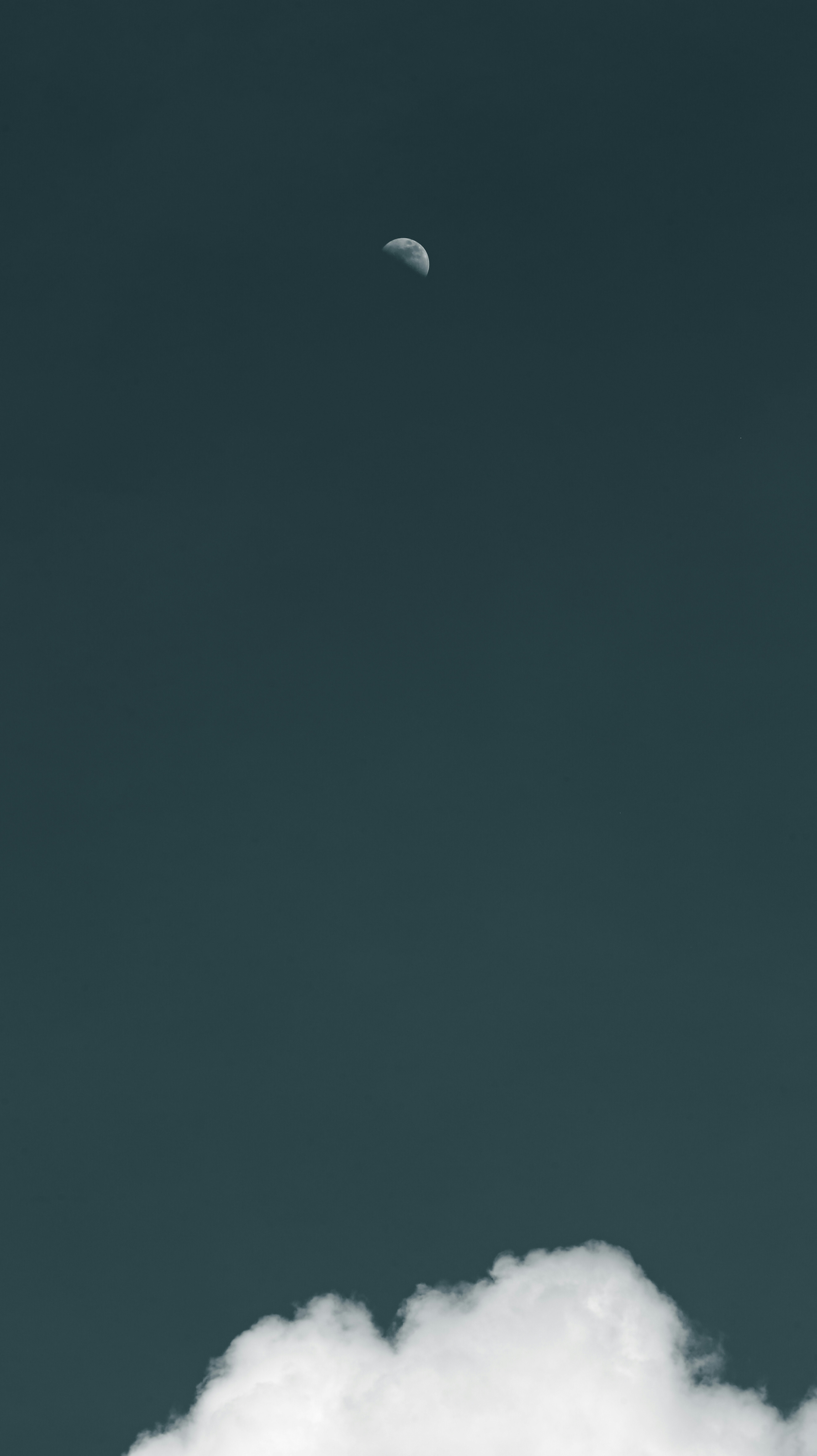 Photo by stevecameup