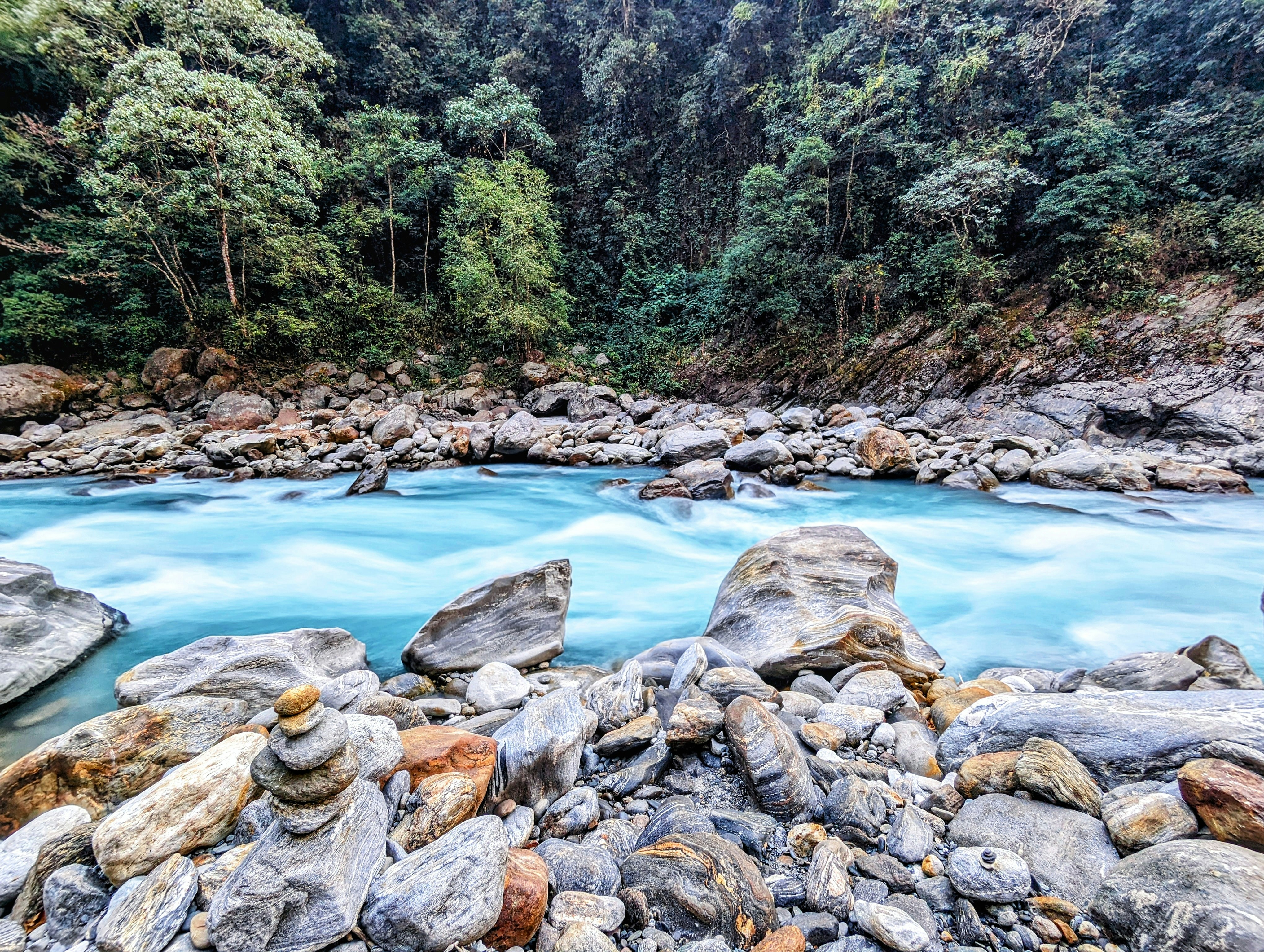 a river running through a lush green forest