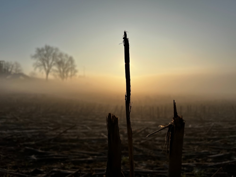 the sun is setting over a foggy field