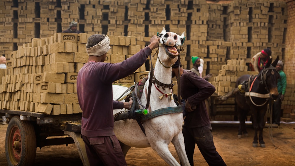 a man riding on the back of a white horse