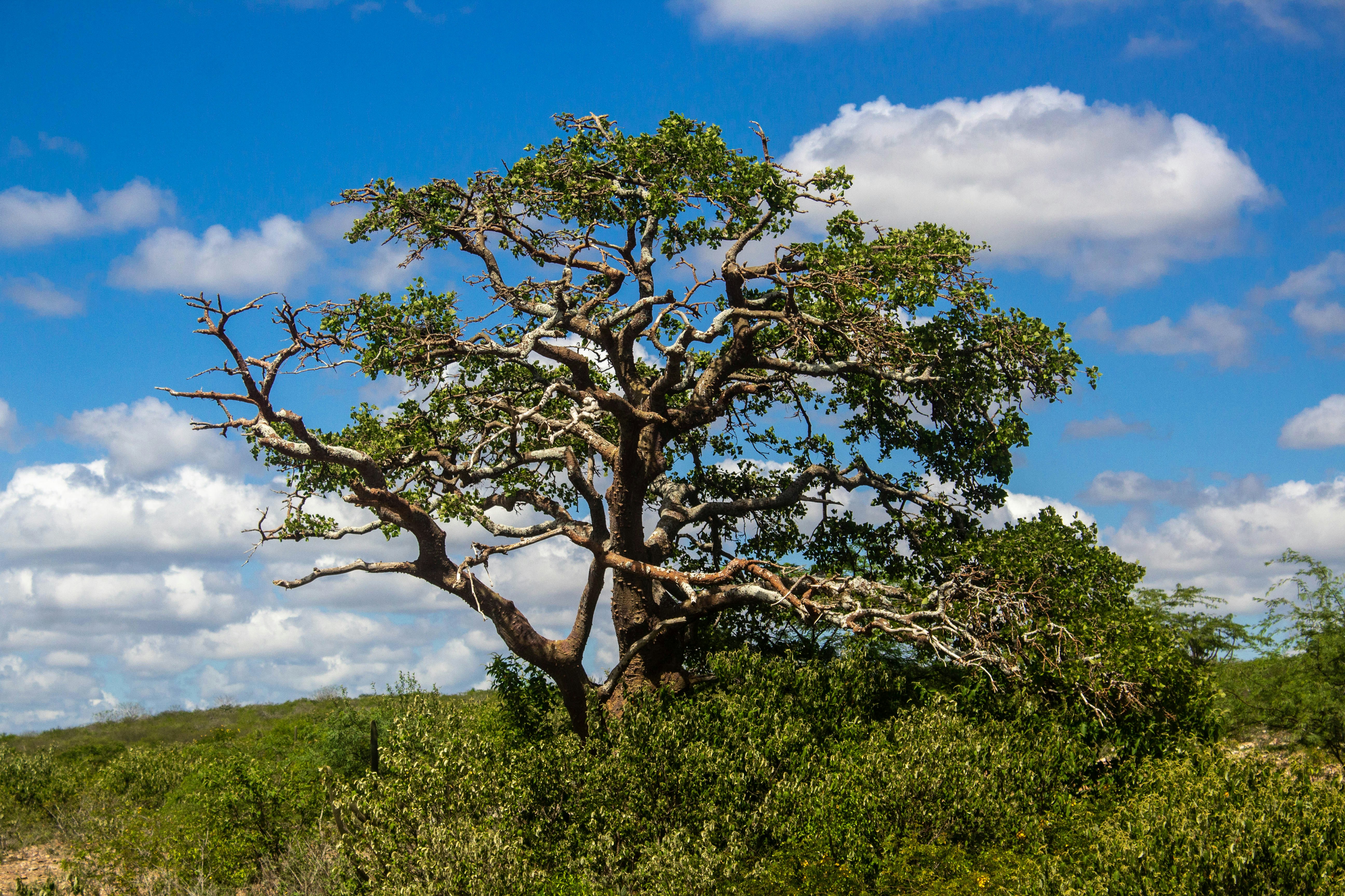 Photo by ofelipequeiroz