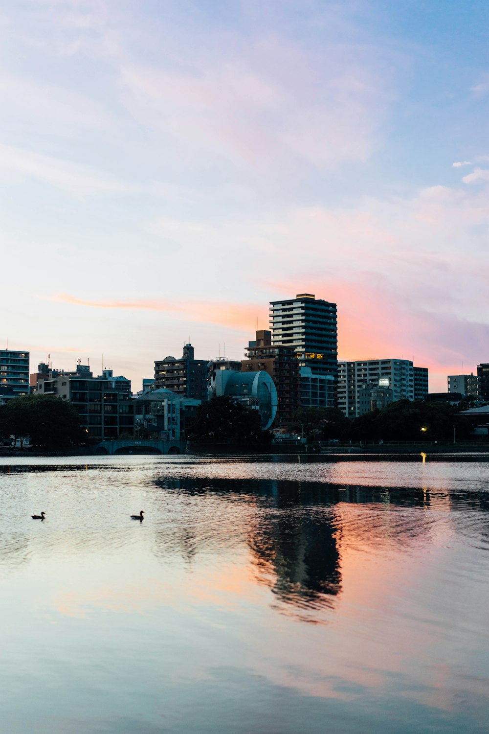 a large body of water with a city in the background