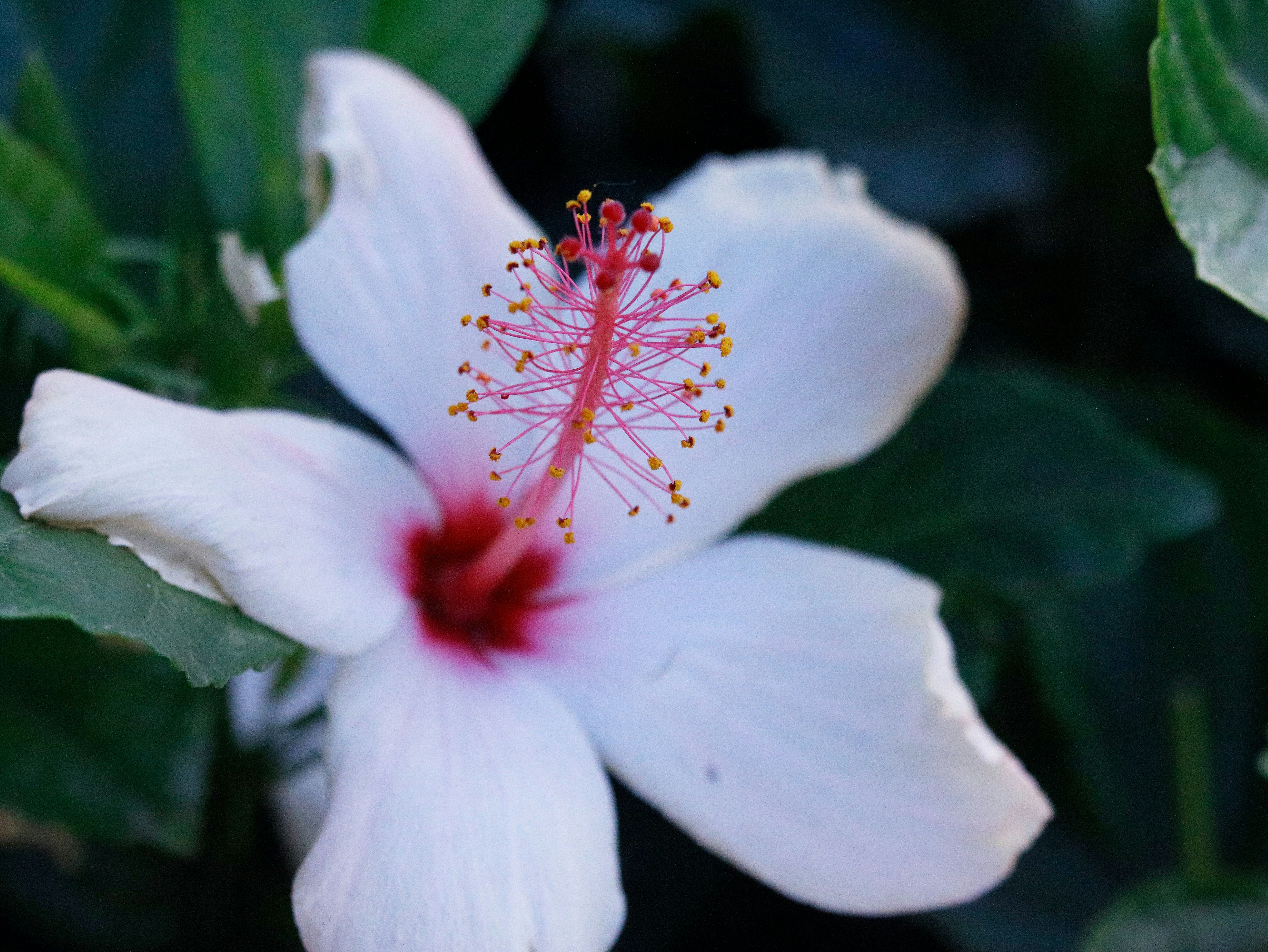 Photo by ammarmahmood