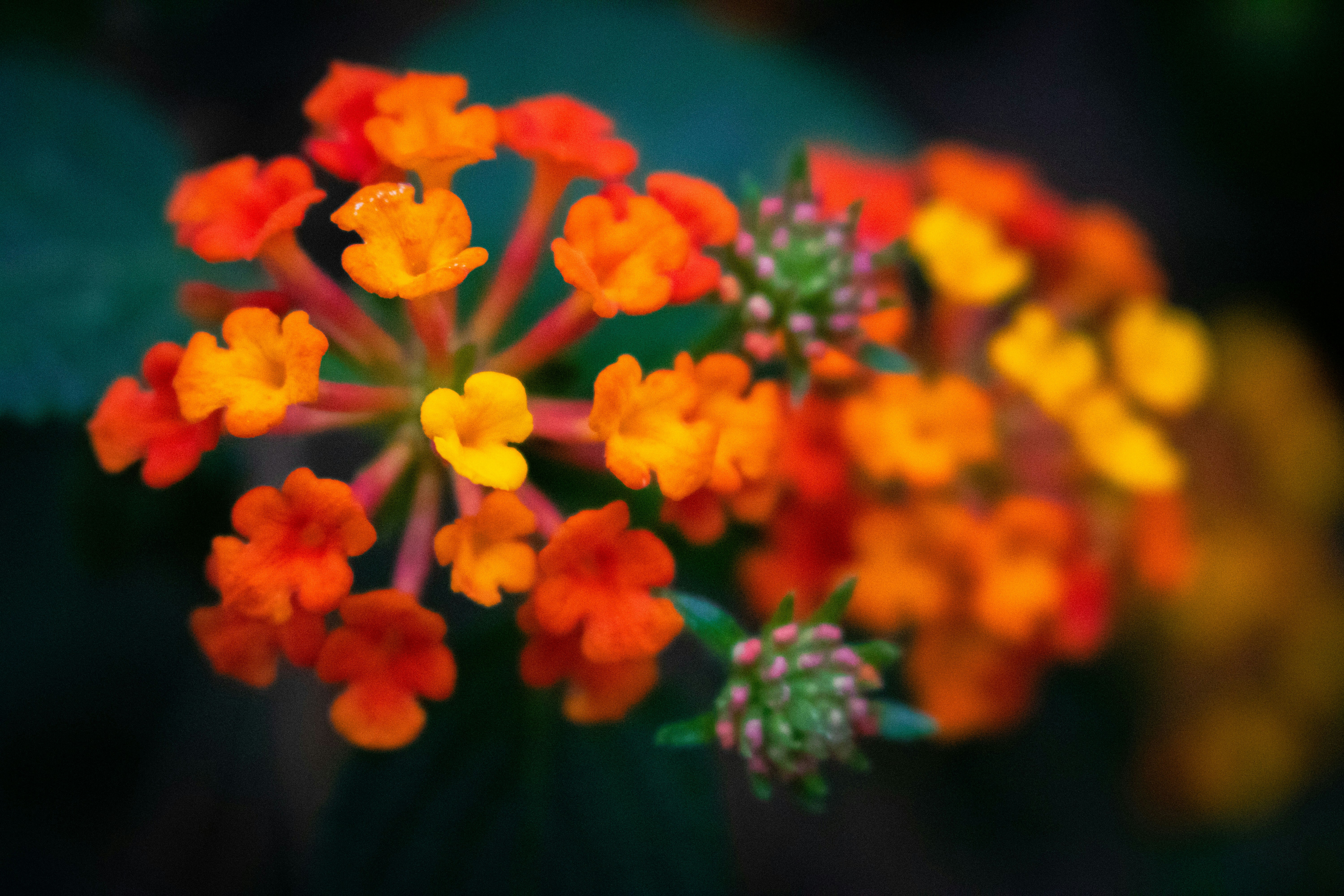 Photo by ammarmahmood