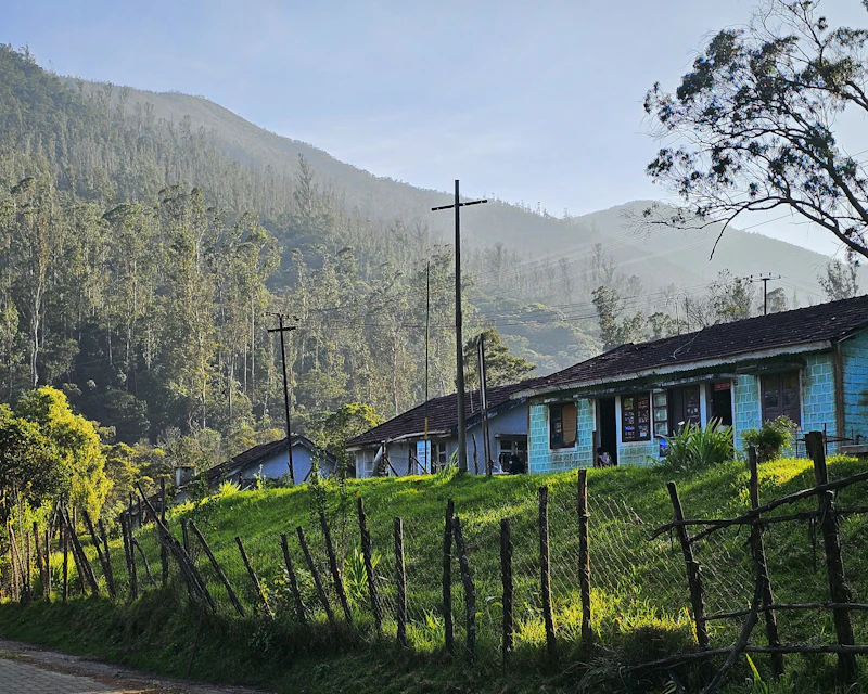Bangalore to Ooty by Cab: Route and Travel Guide
