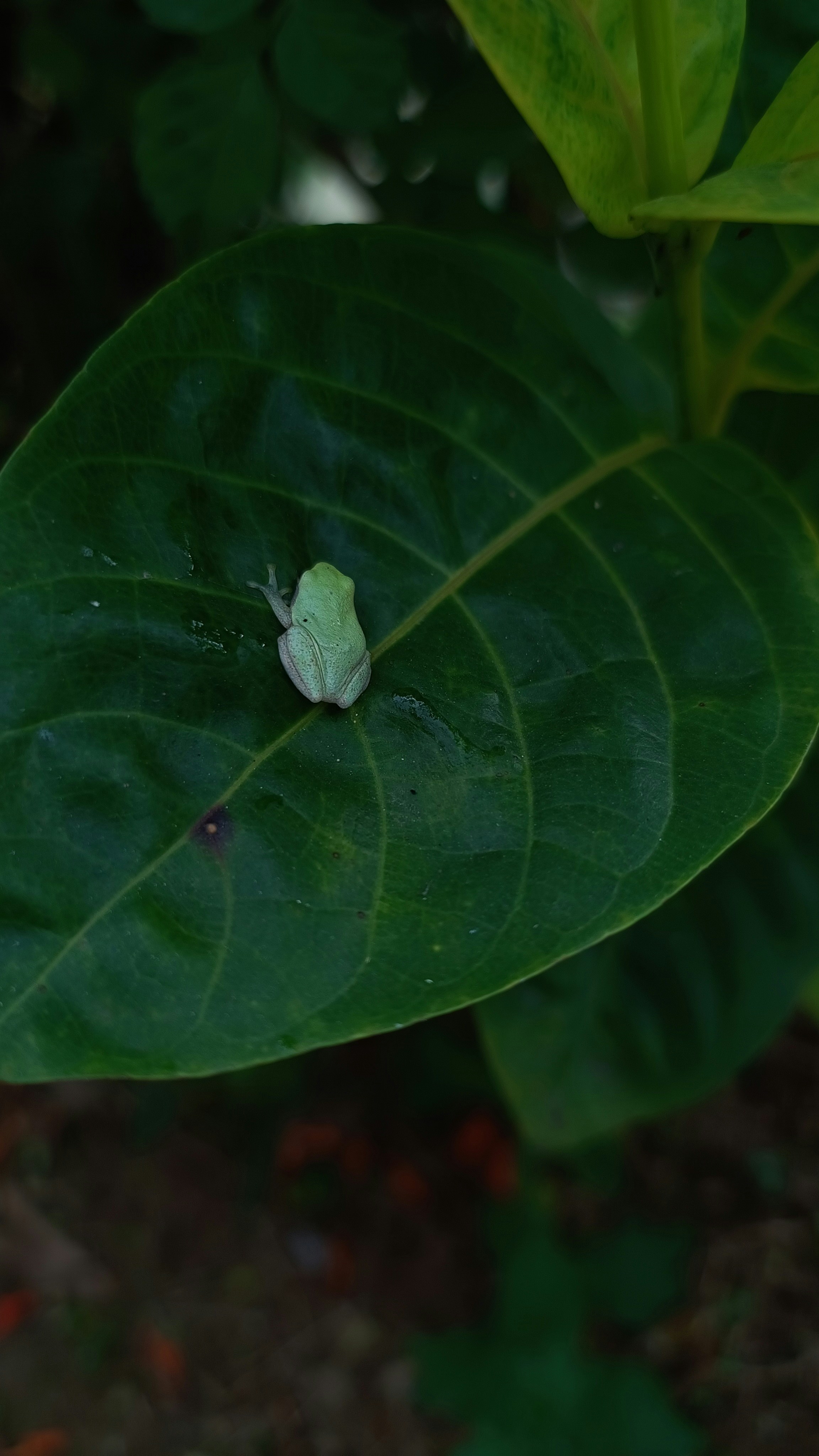 Photo by syamnani140