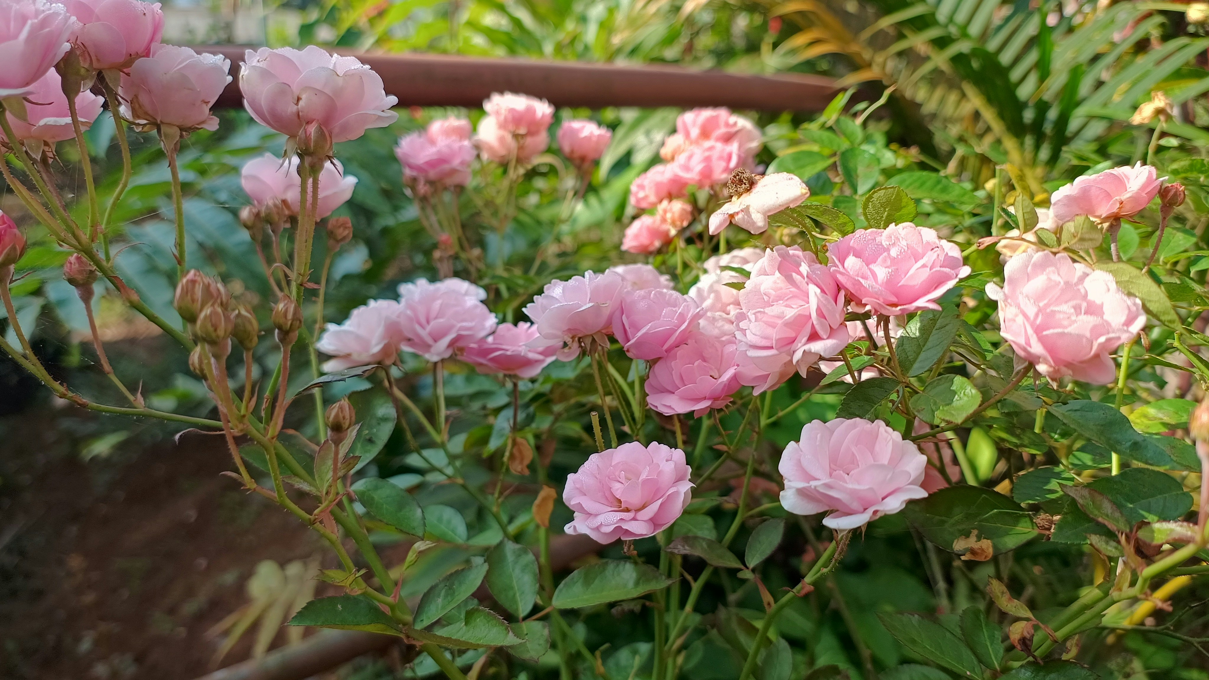 Photo by syamnani140