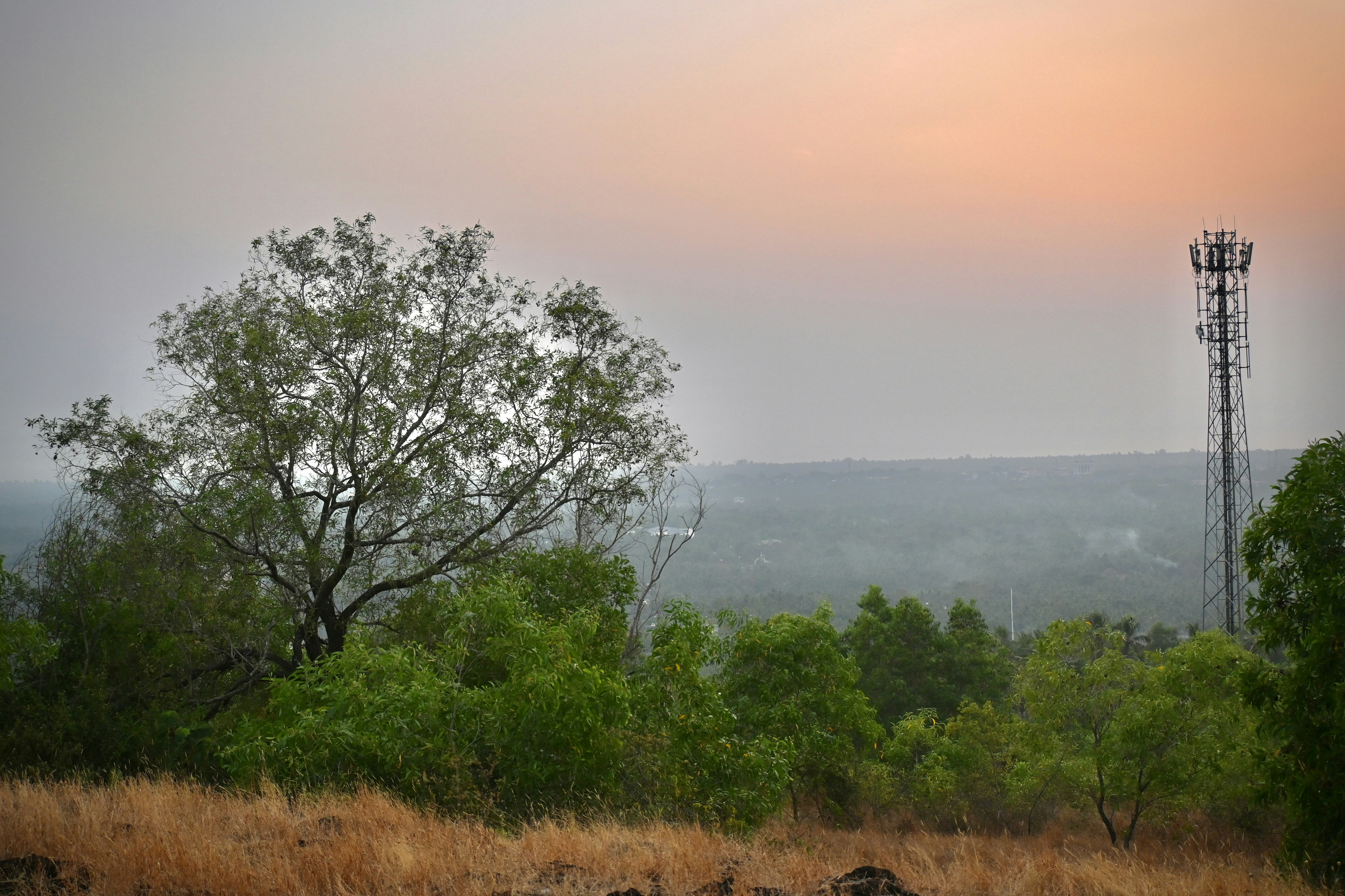 Photo by praswinprakashan