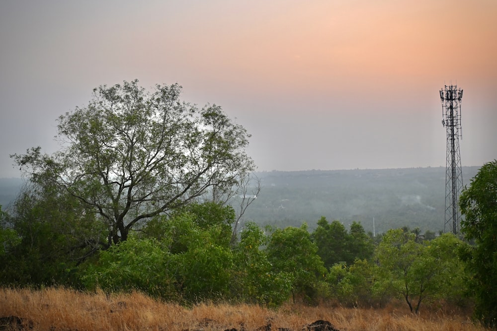 a field with trees and a radio tower in the distance