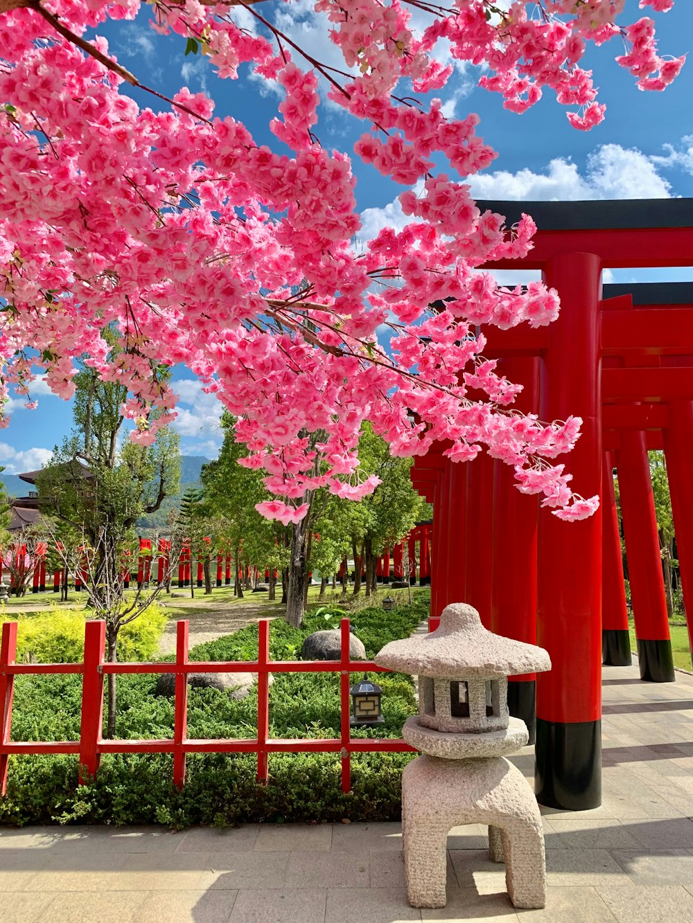 a red gate and some pink flowers on a sunny day