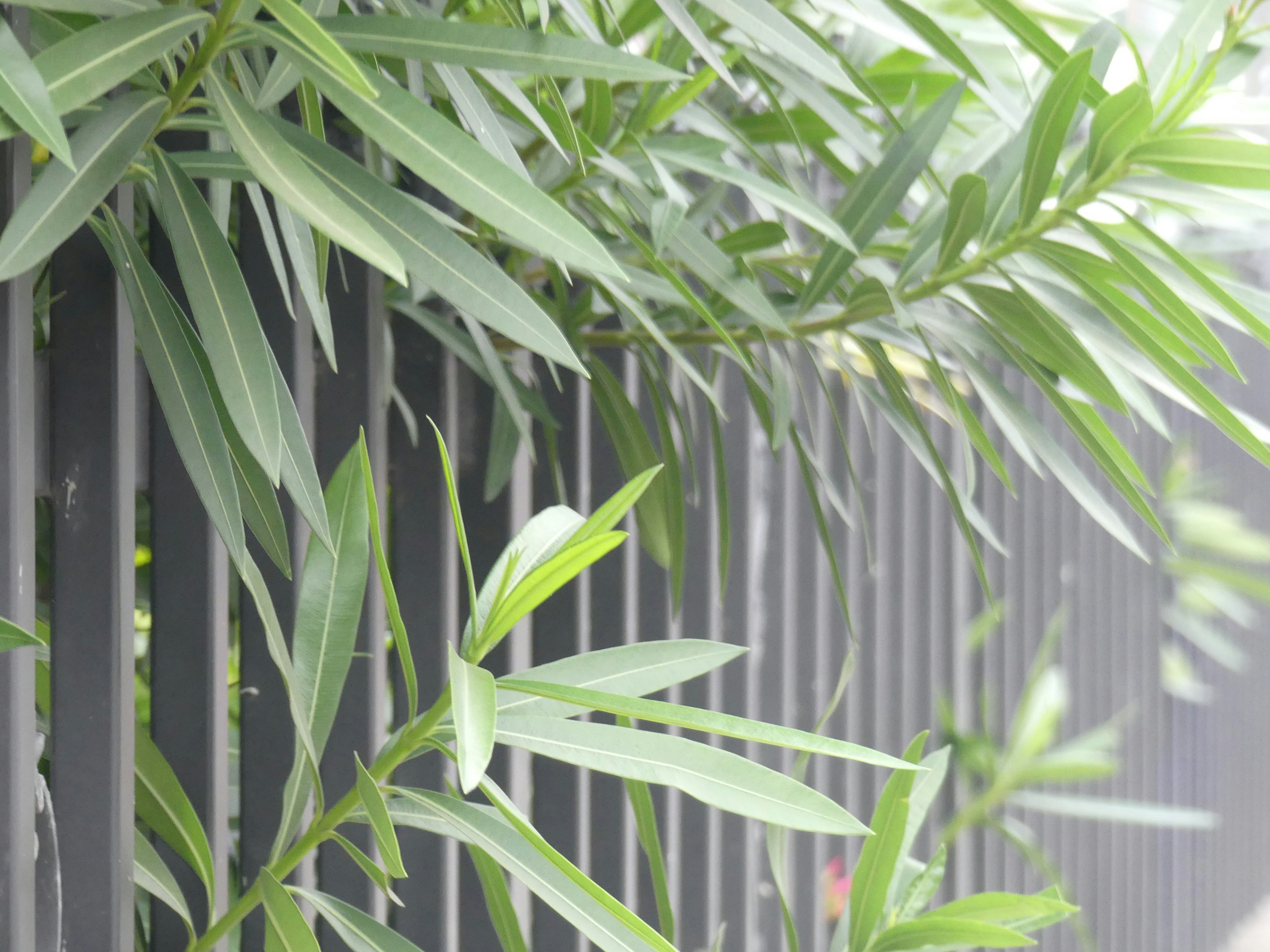 Photo by teagancross