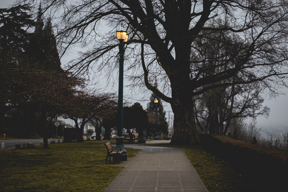 a bench sitting on a sidewalk next to a tree