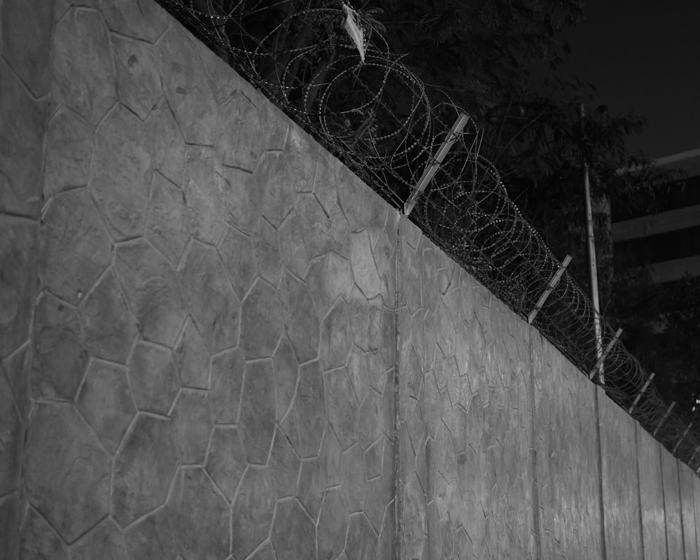 a black and white photo of a fence and a wall