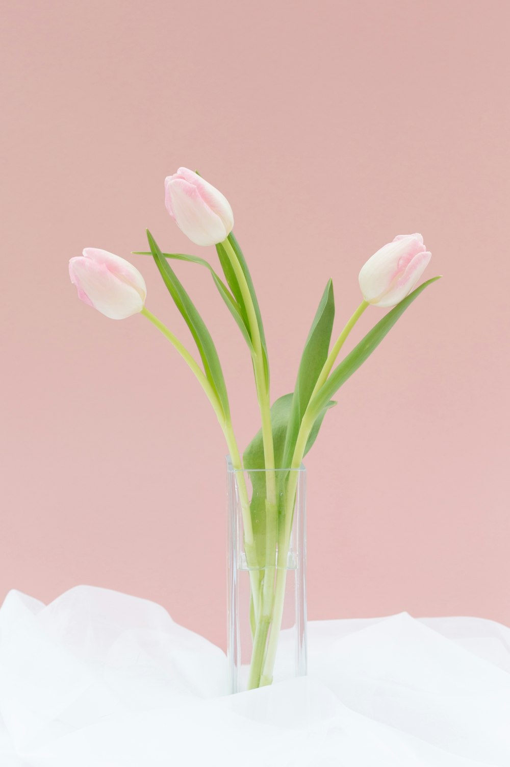 a glass vase filled with pink tulips on a table