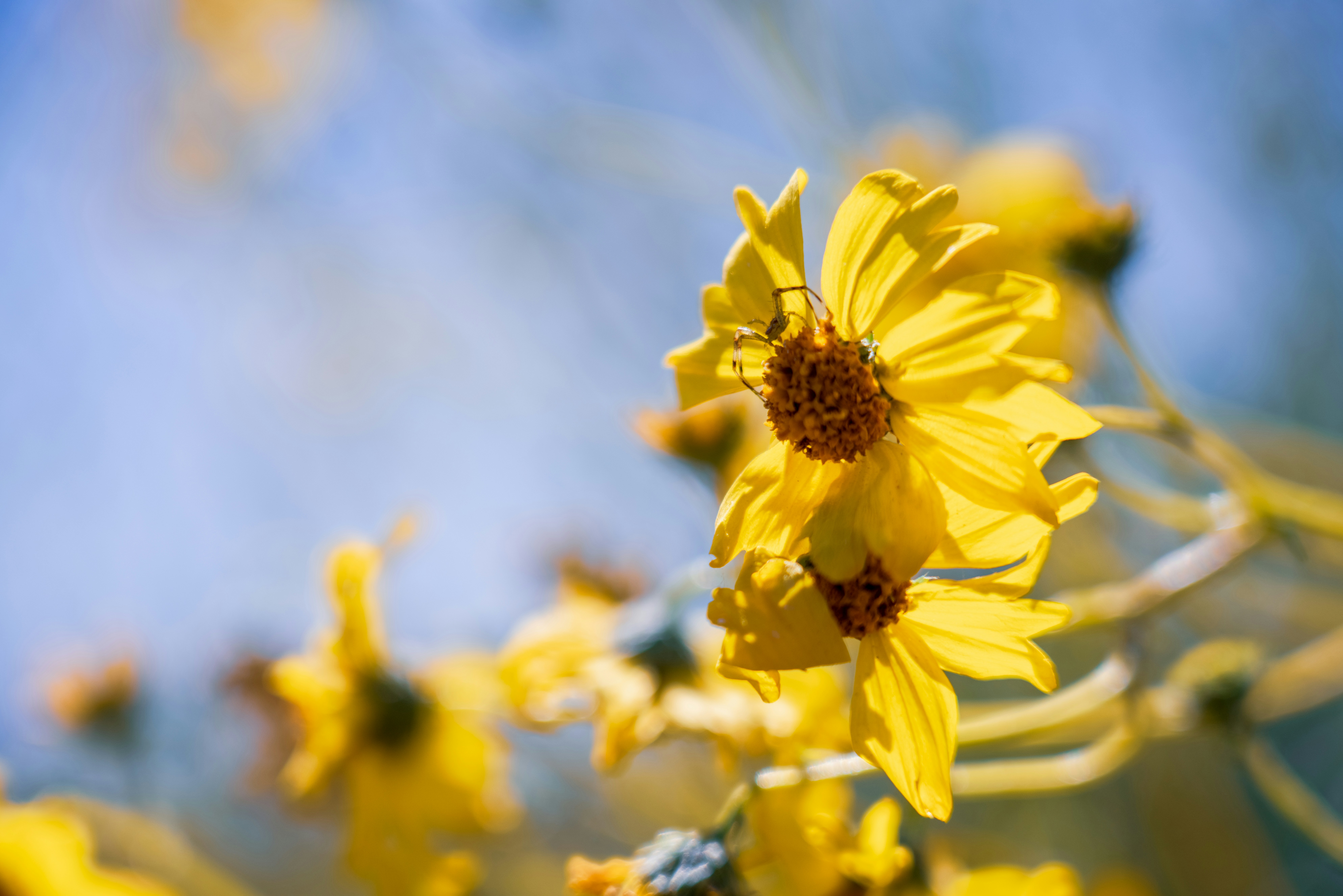 Photo by nicklarovere