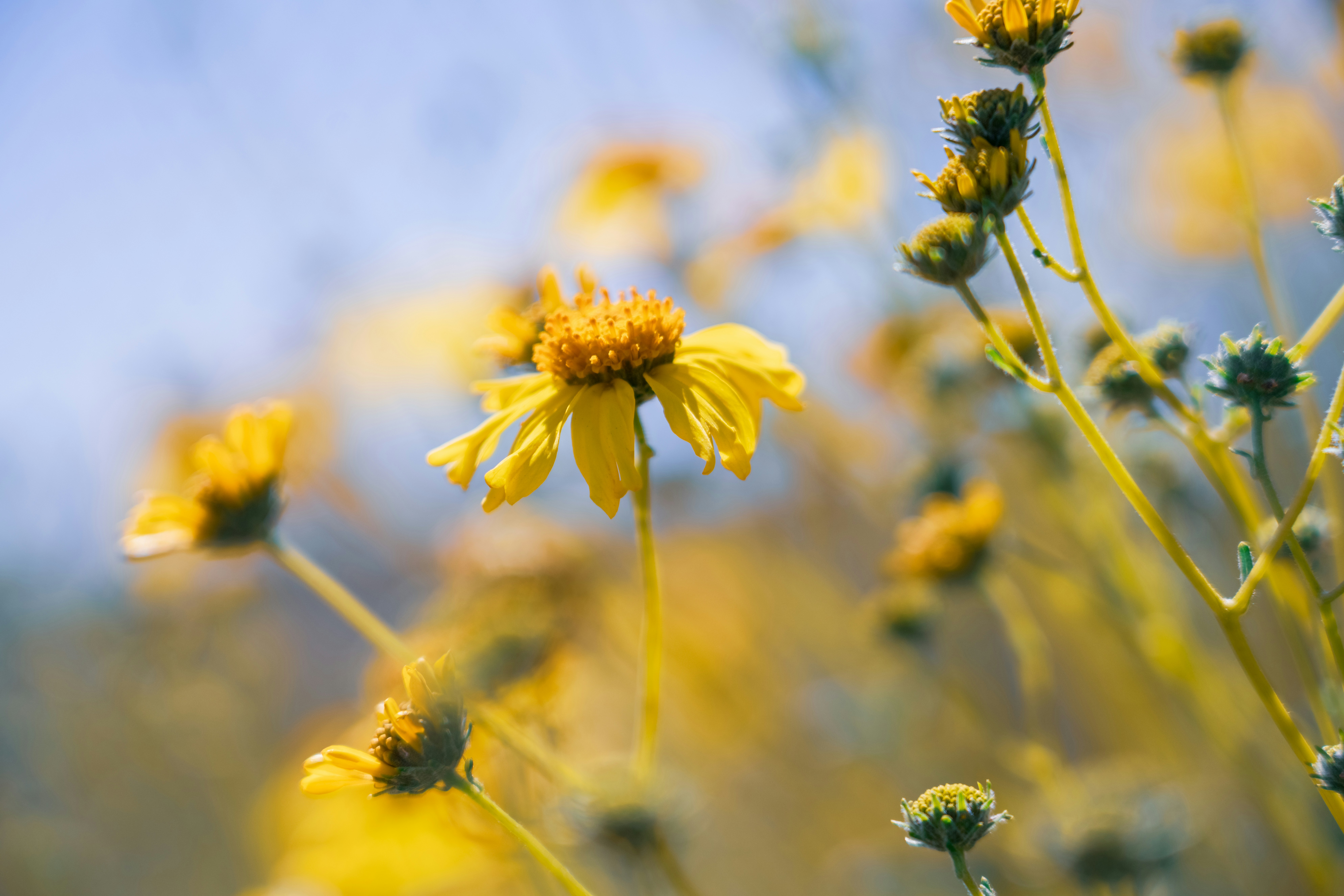 Photo by nicklarovere