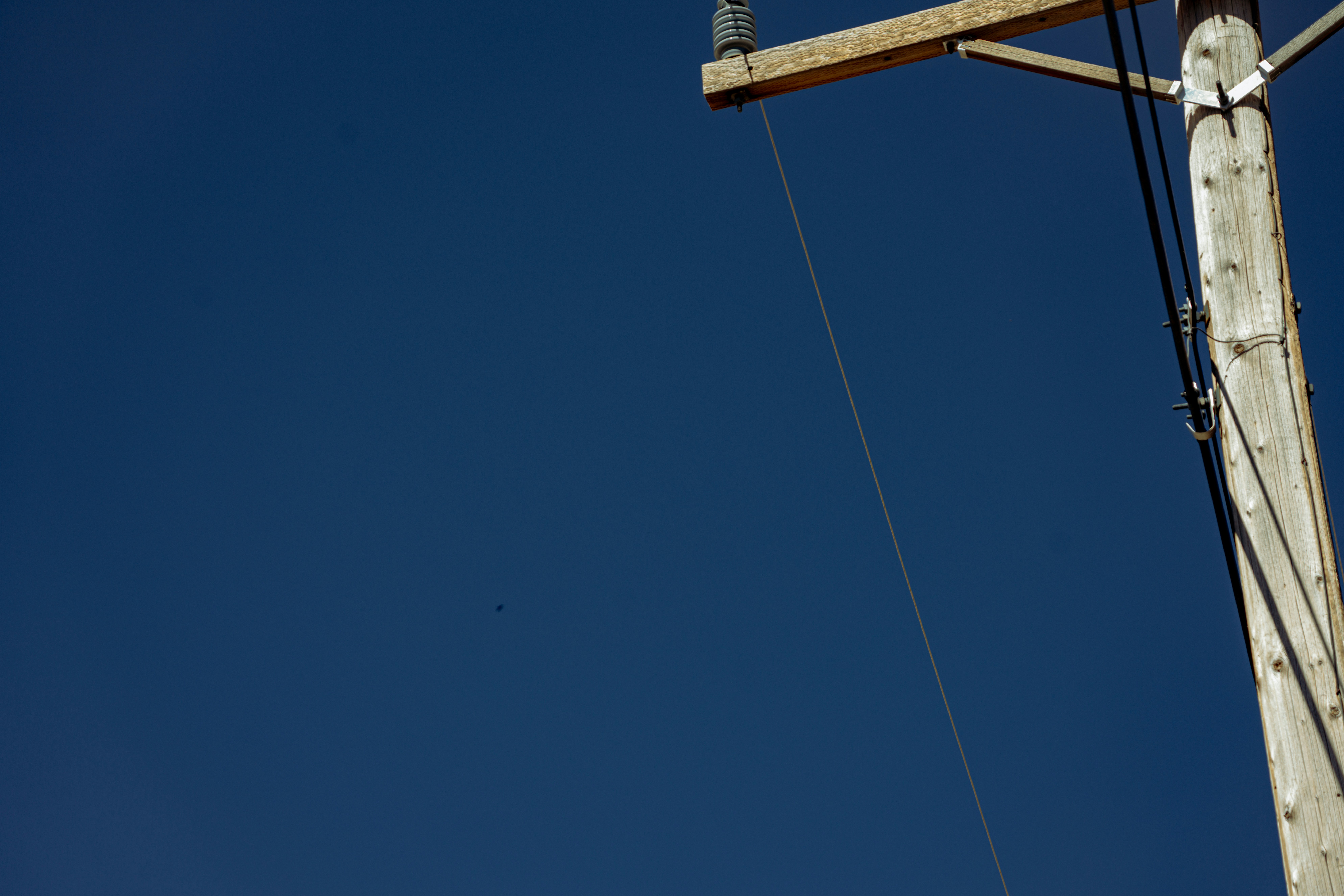 Photo by nicklarovere