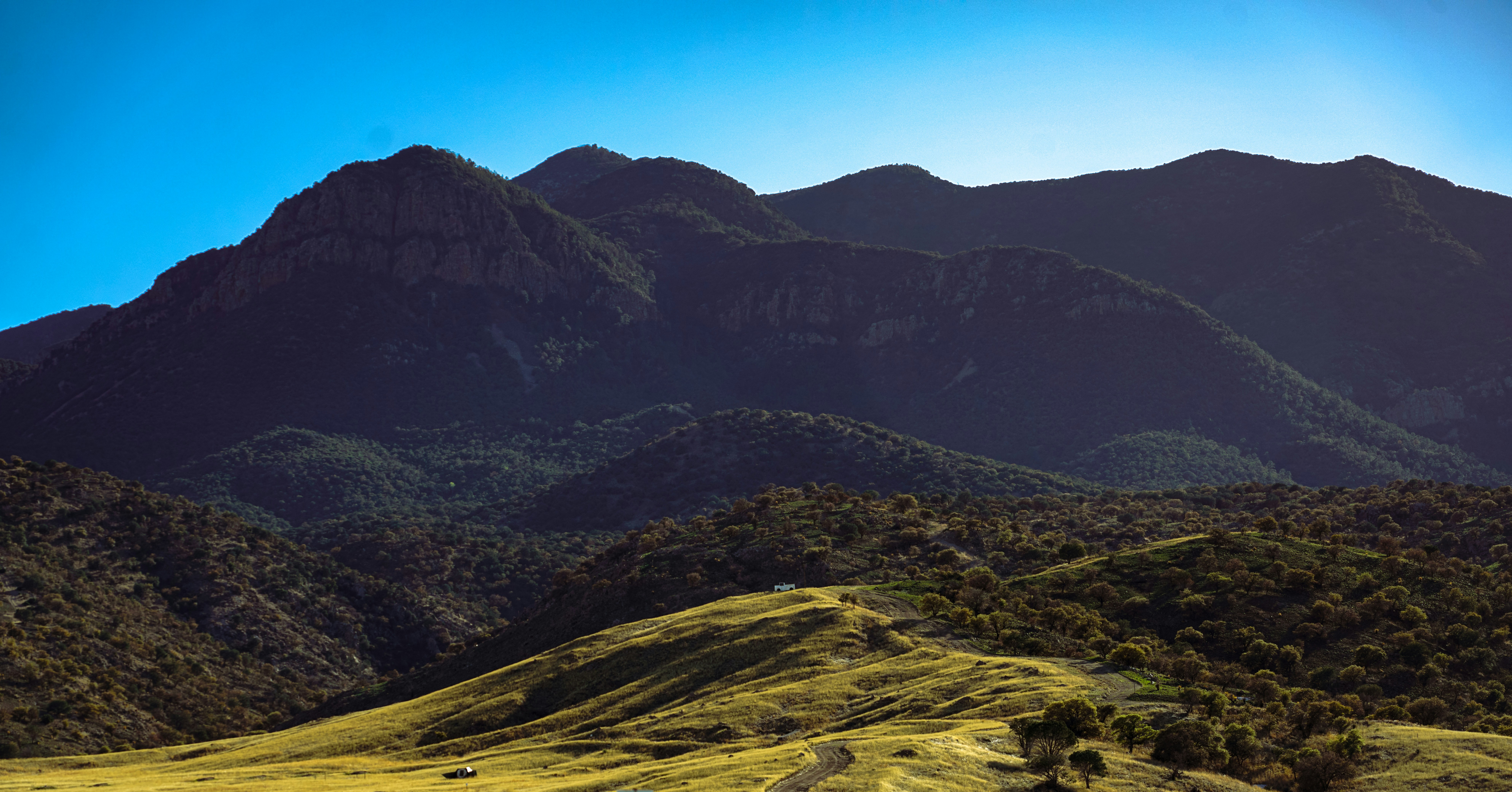 Photo by nicklarovere