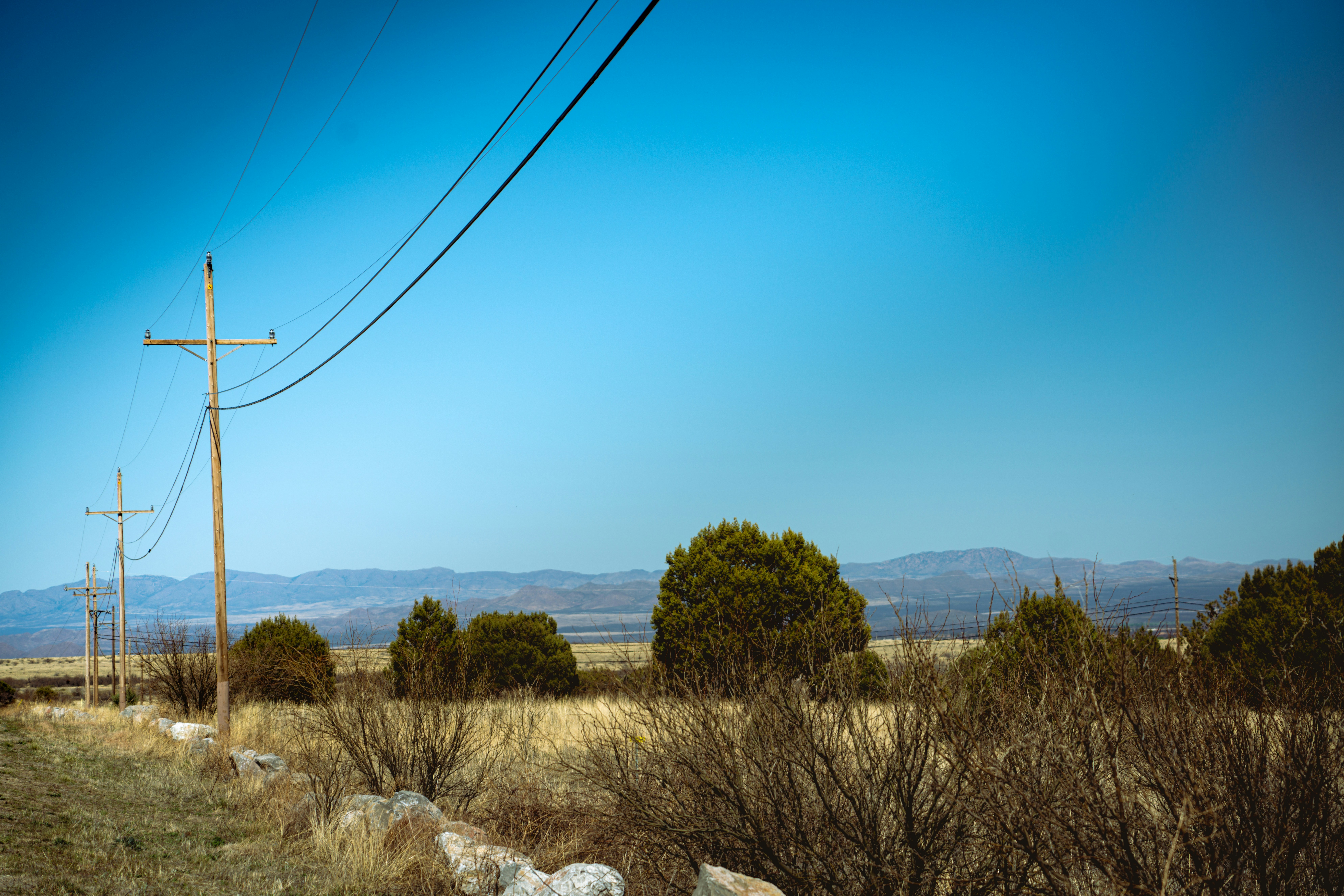 Photo by nicklarovere