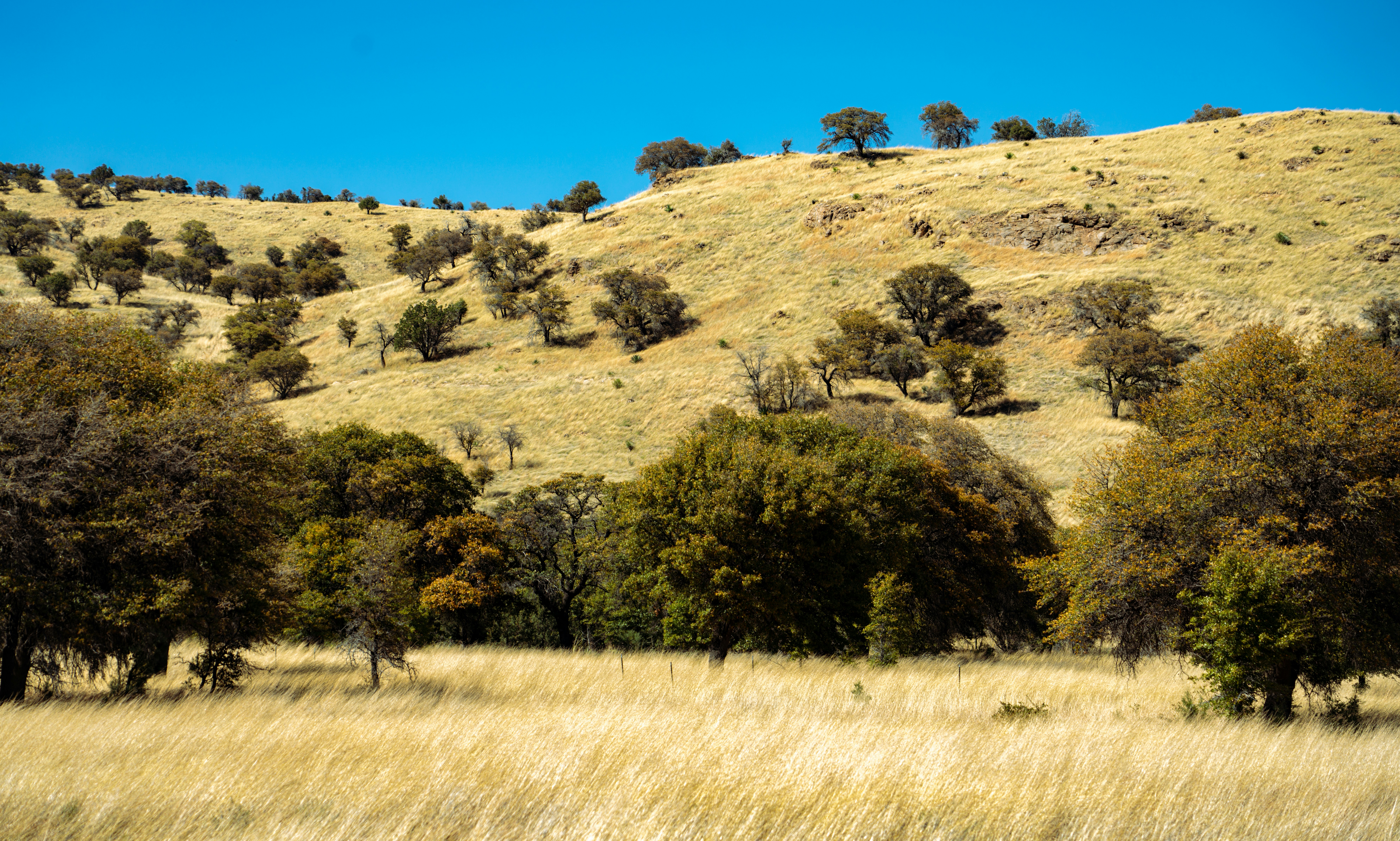 Photo by nicklarovere